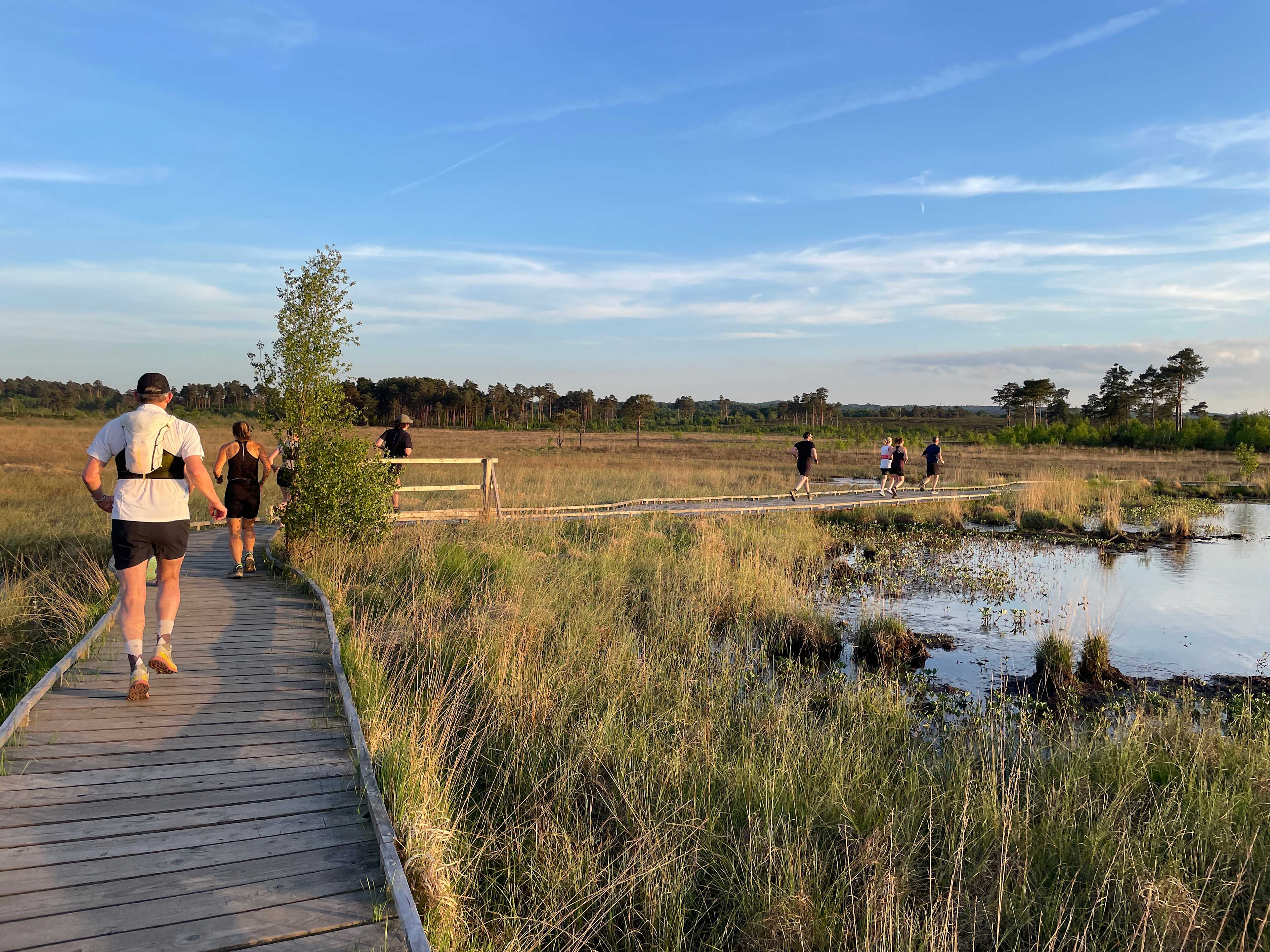 Secondary header image