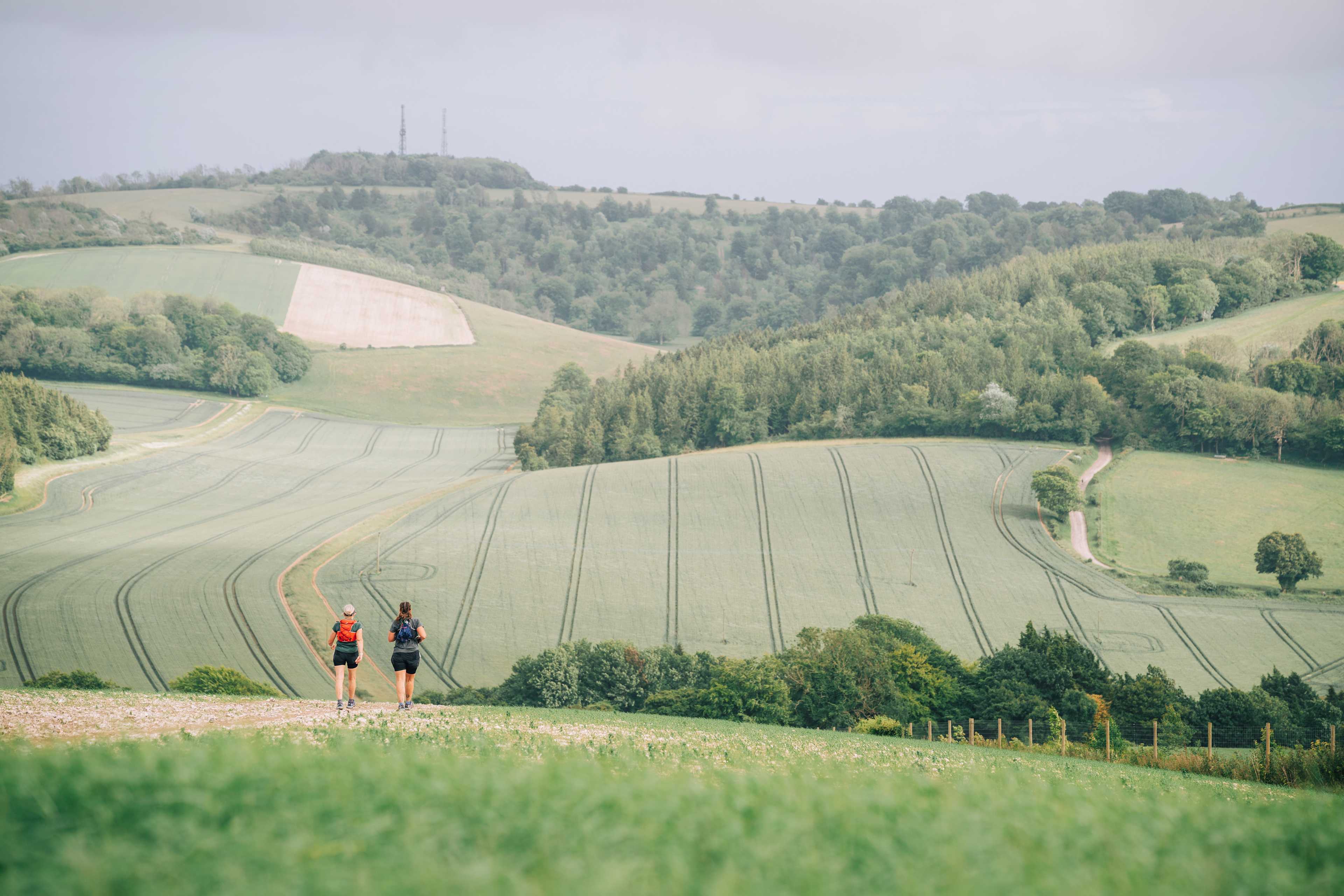 Secondary header image