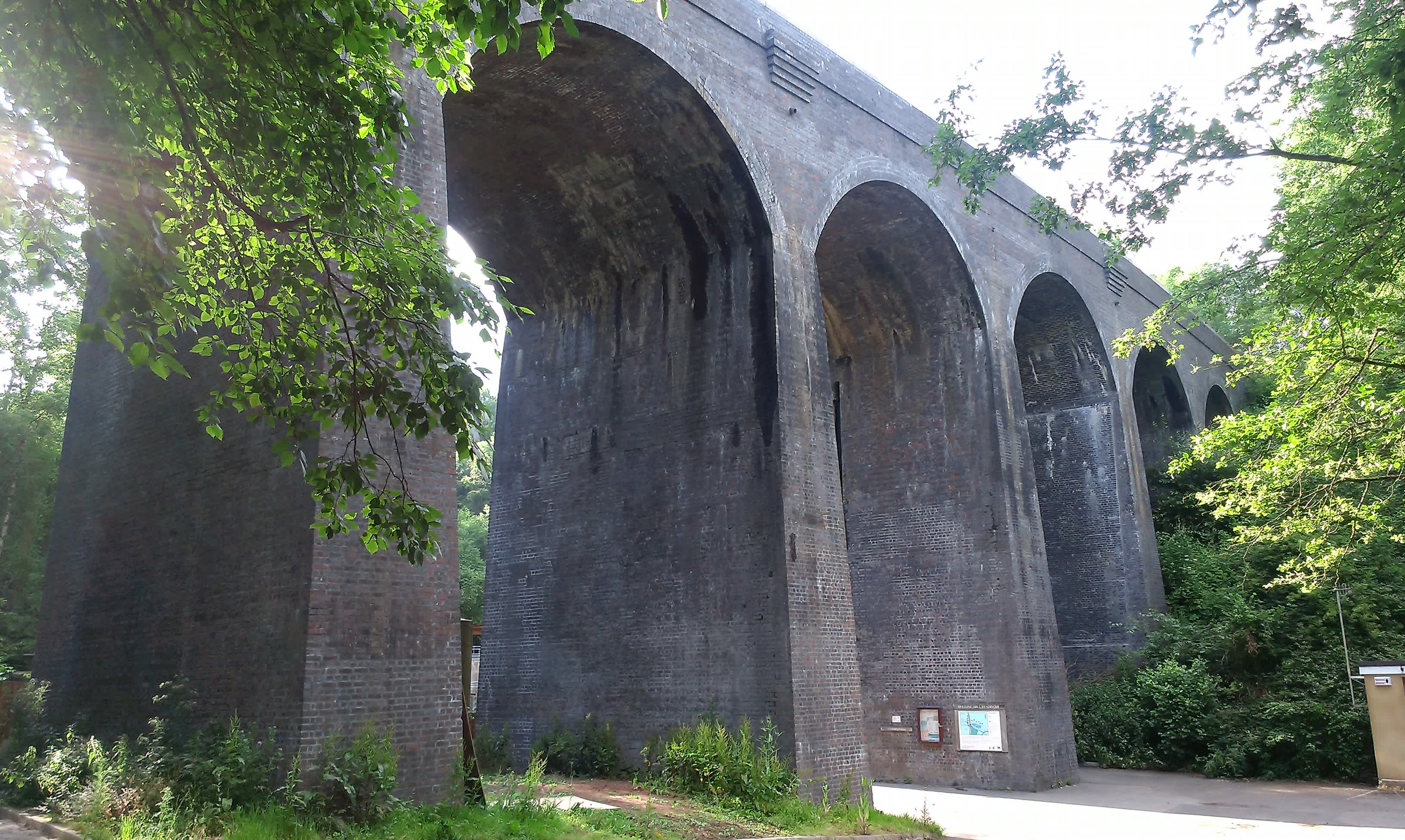 Secondary header image