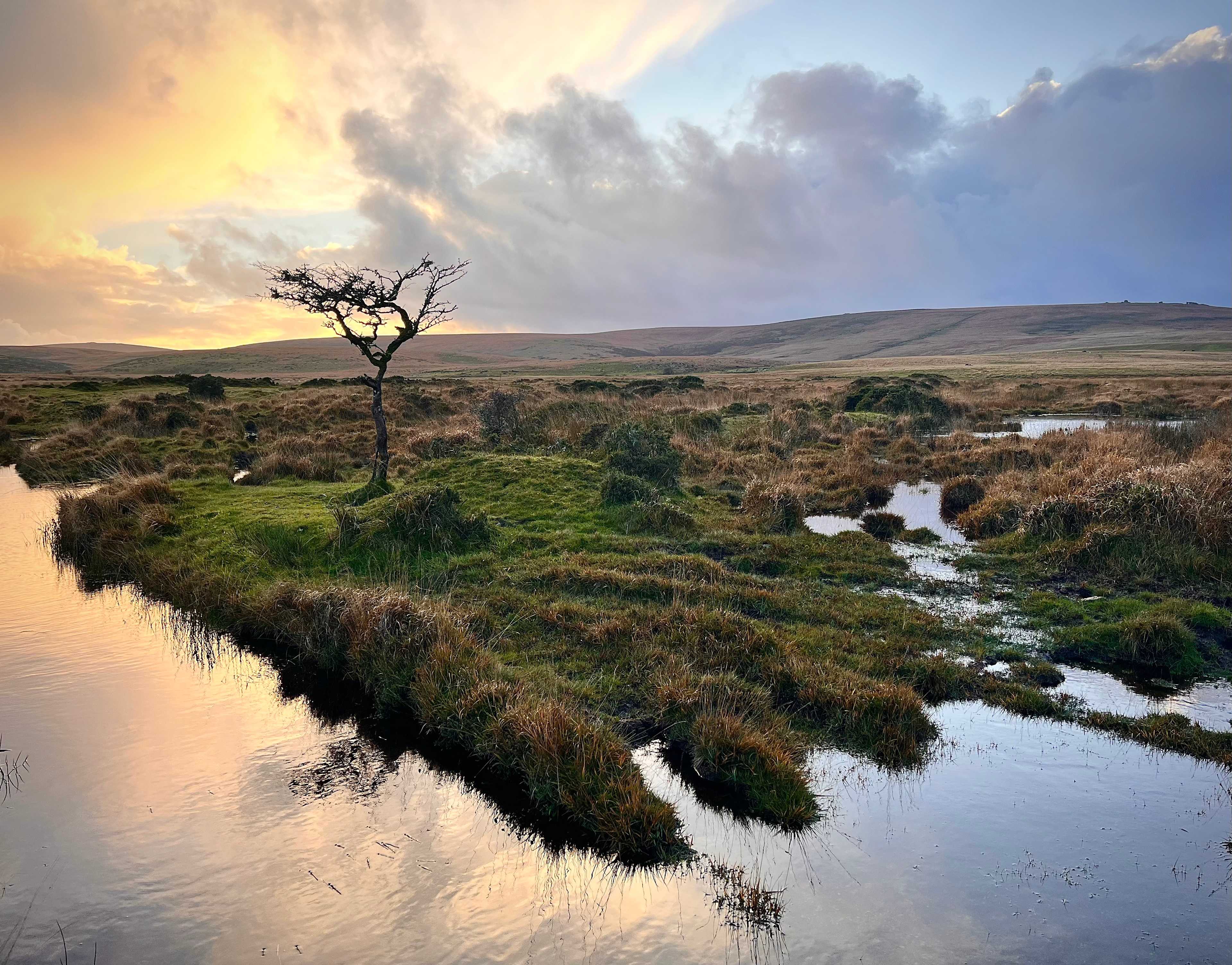 Secondary header image