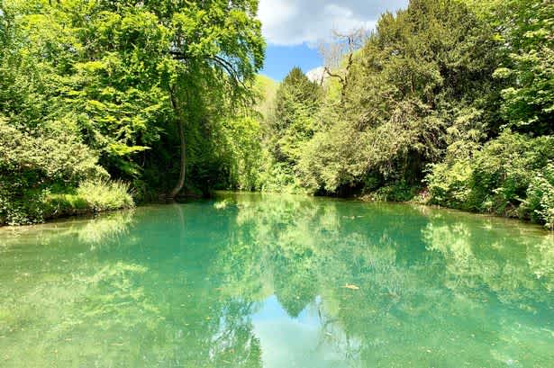 Secondary header image