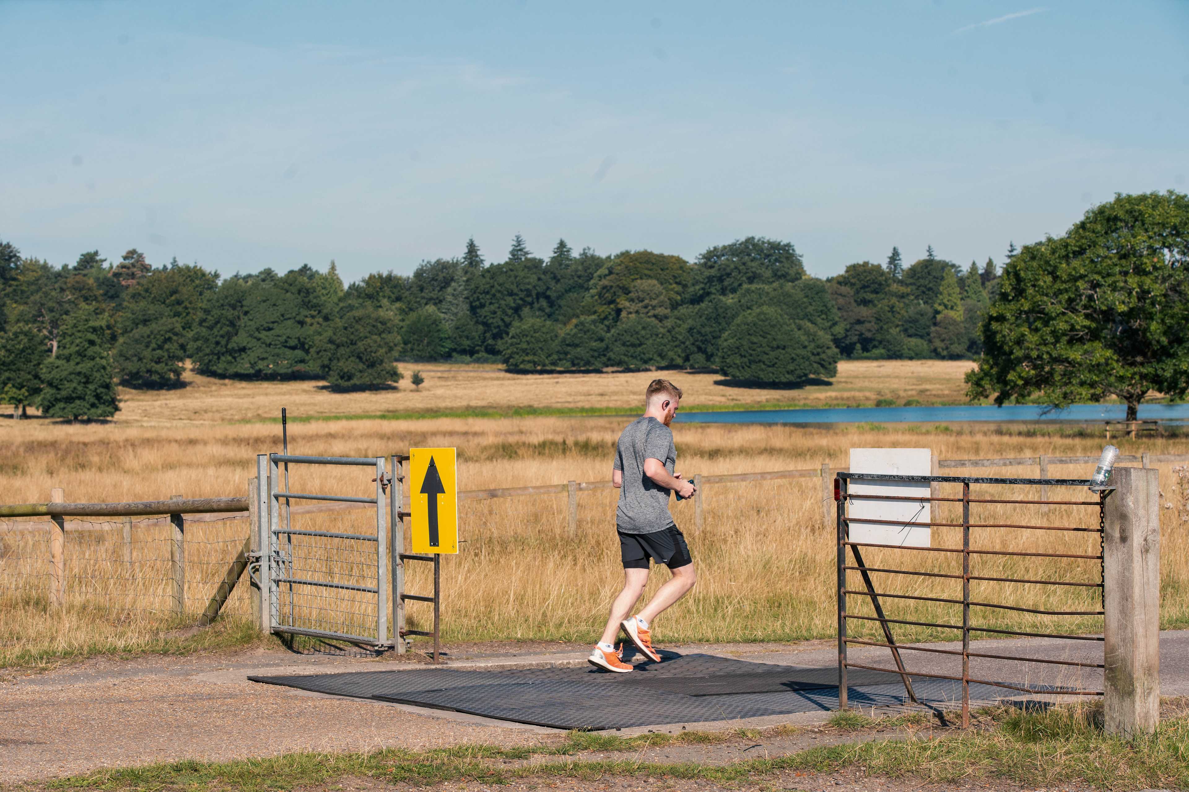 Secondary header image