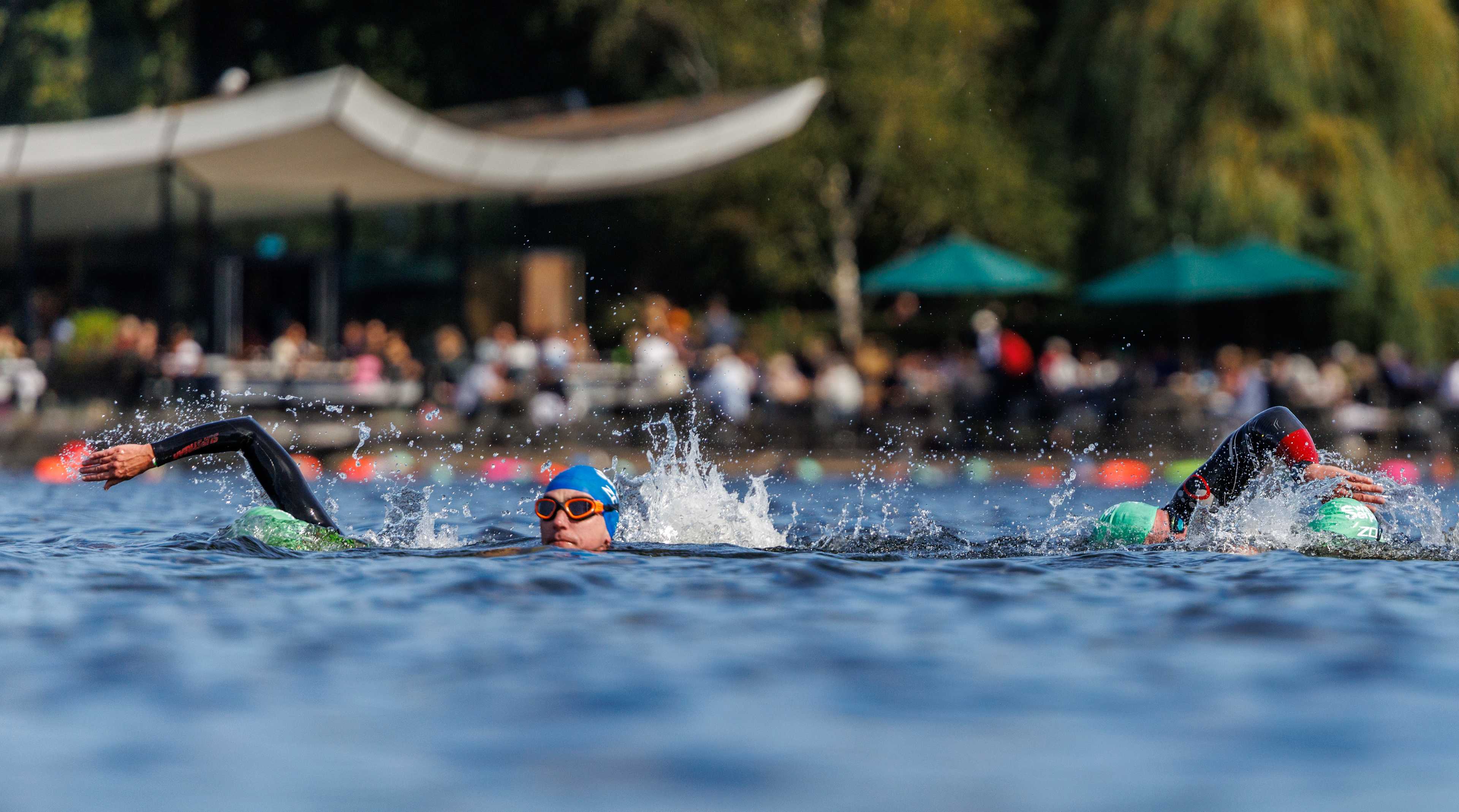 Secondary header image