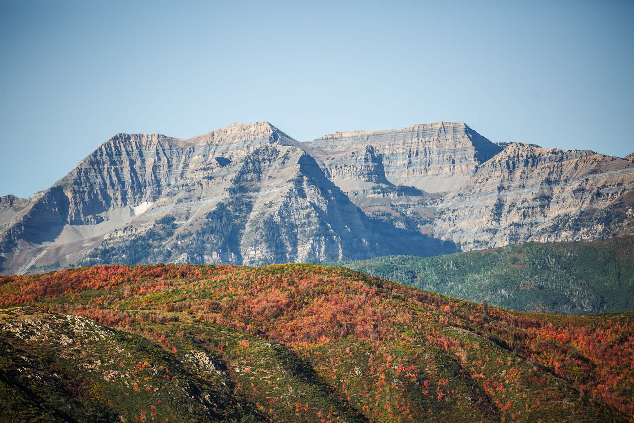 Secondary header image