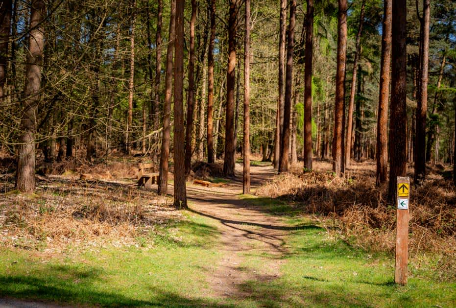 Secondary header image