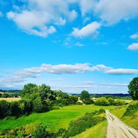 Secondary header image