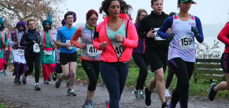 Secondary header image