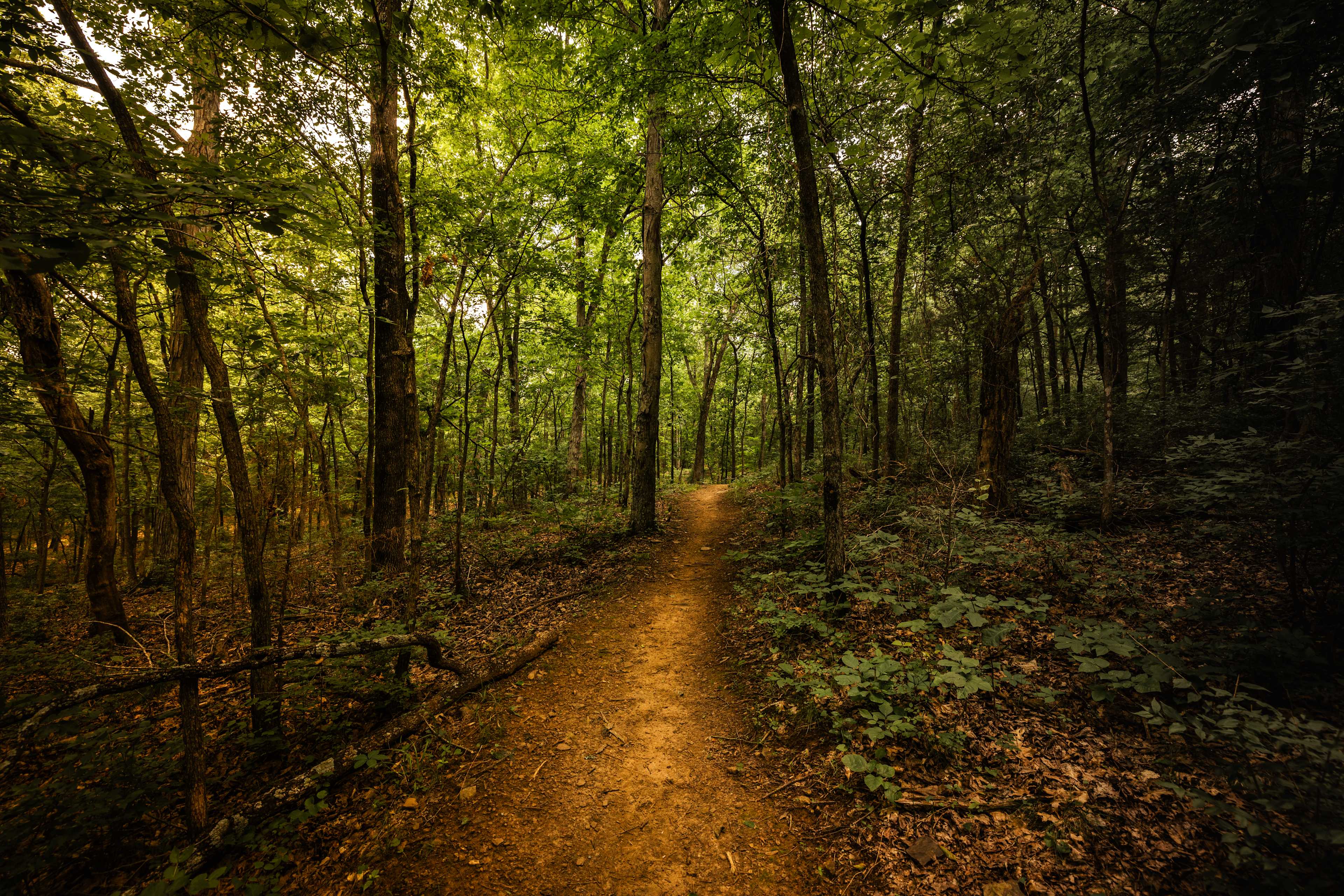 Secondary header image