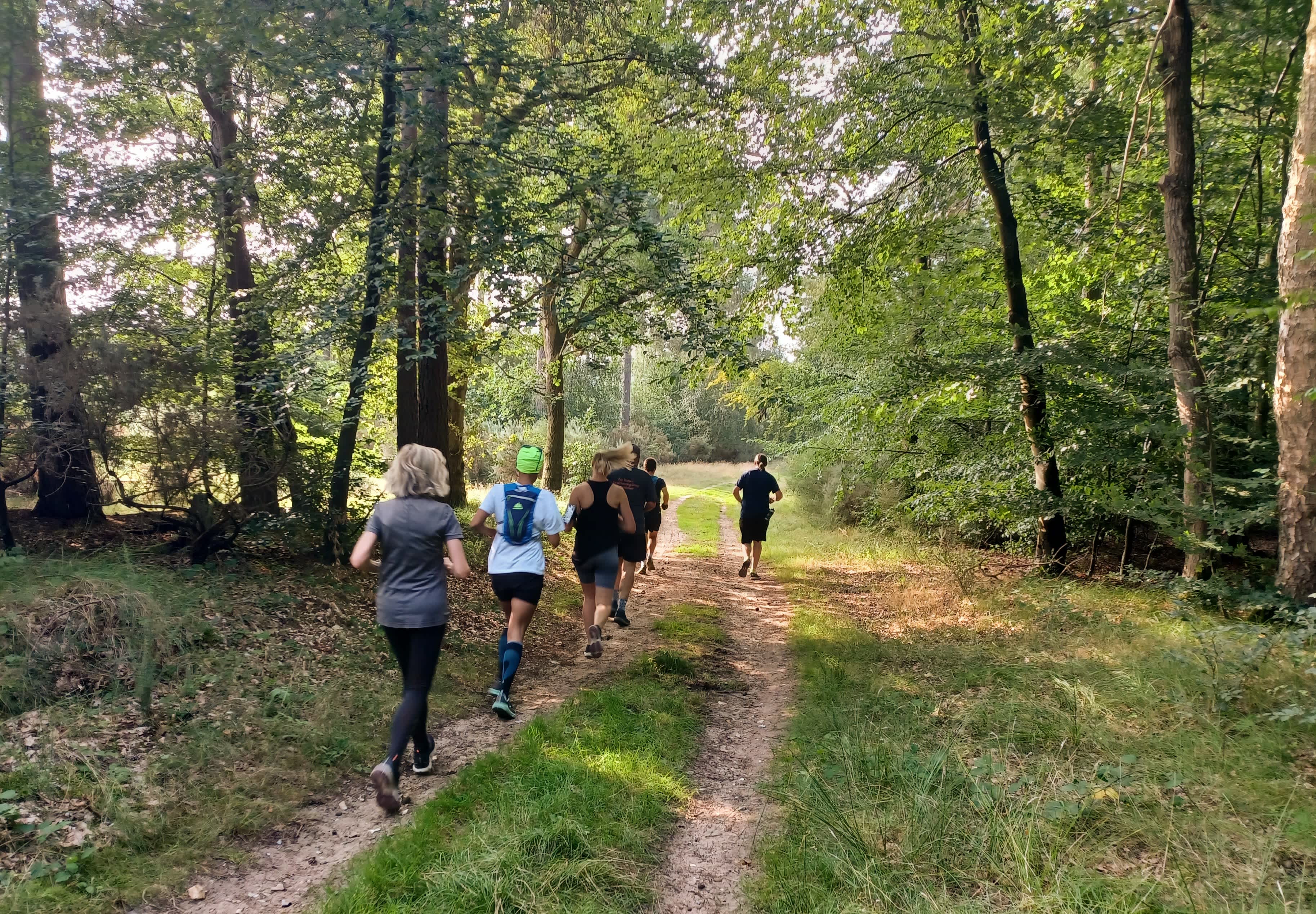 Secondary header image