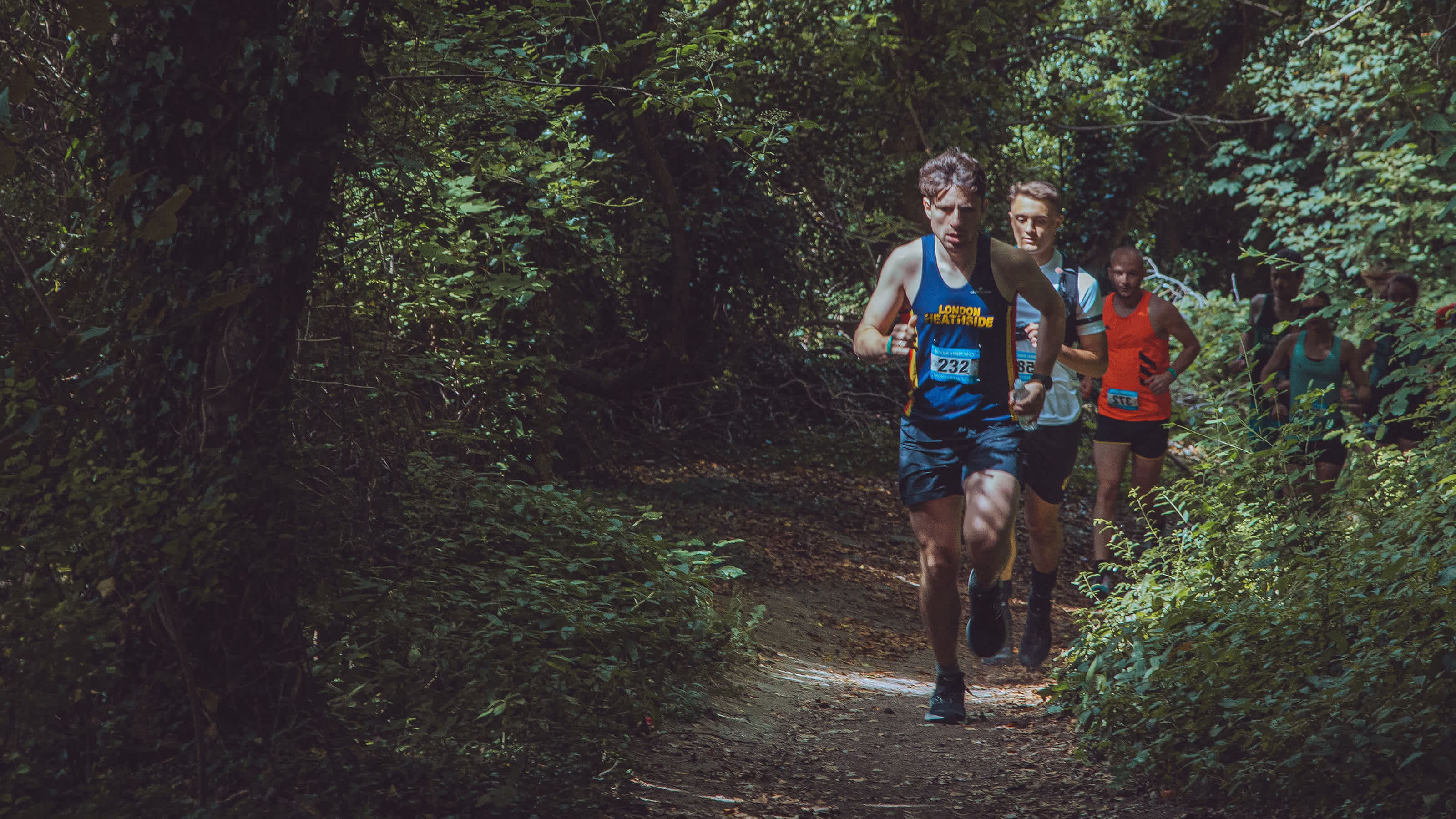Chiltern Ridge Trail Half Marathon Running in Wendover — Let's