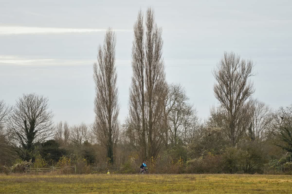 Secondary header image