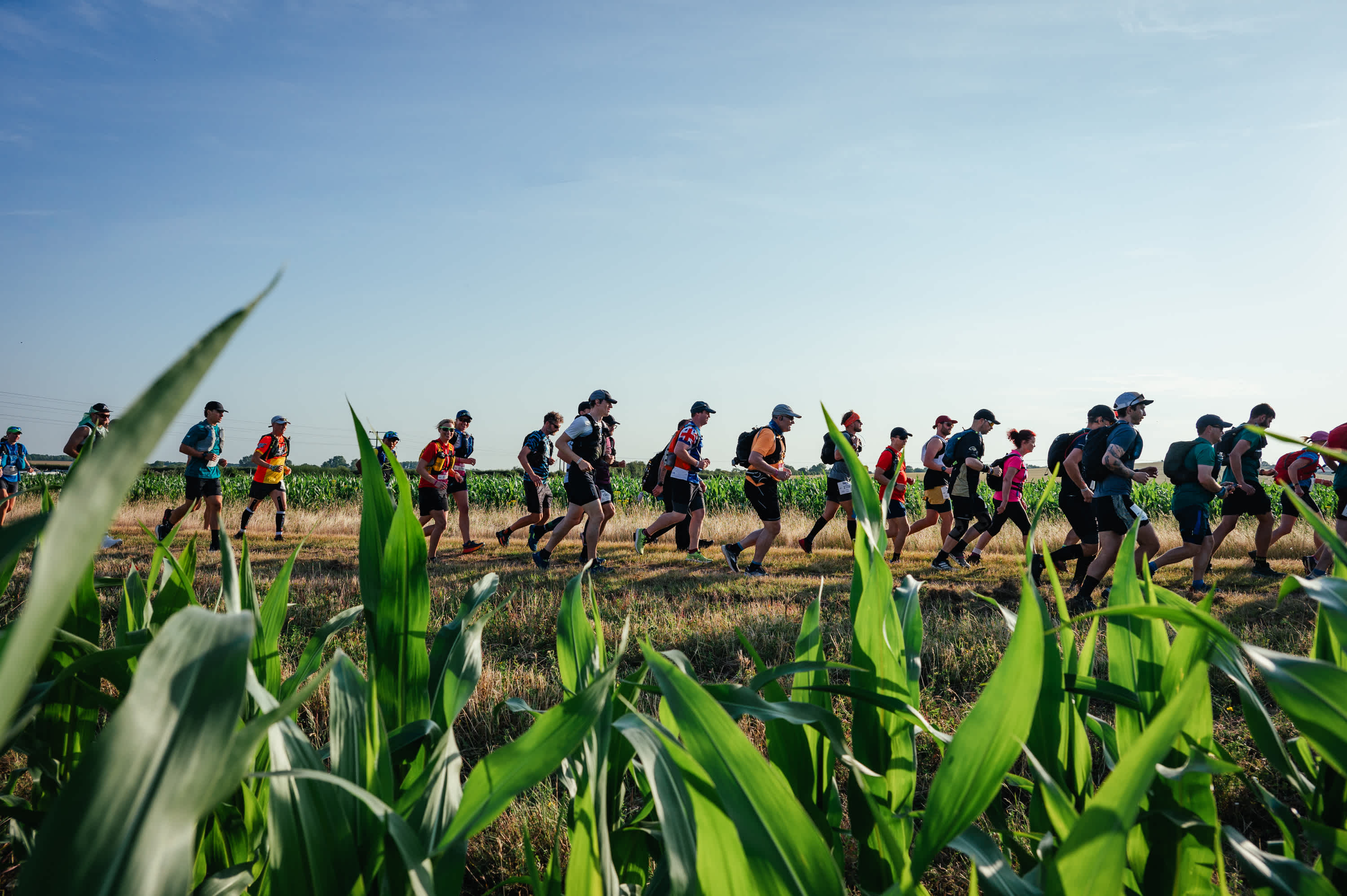 Secondary header image