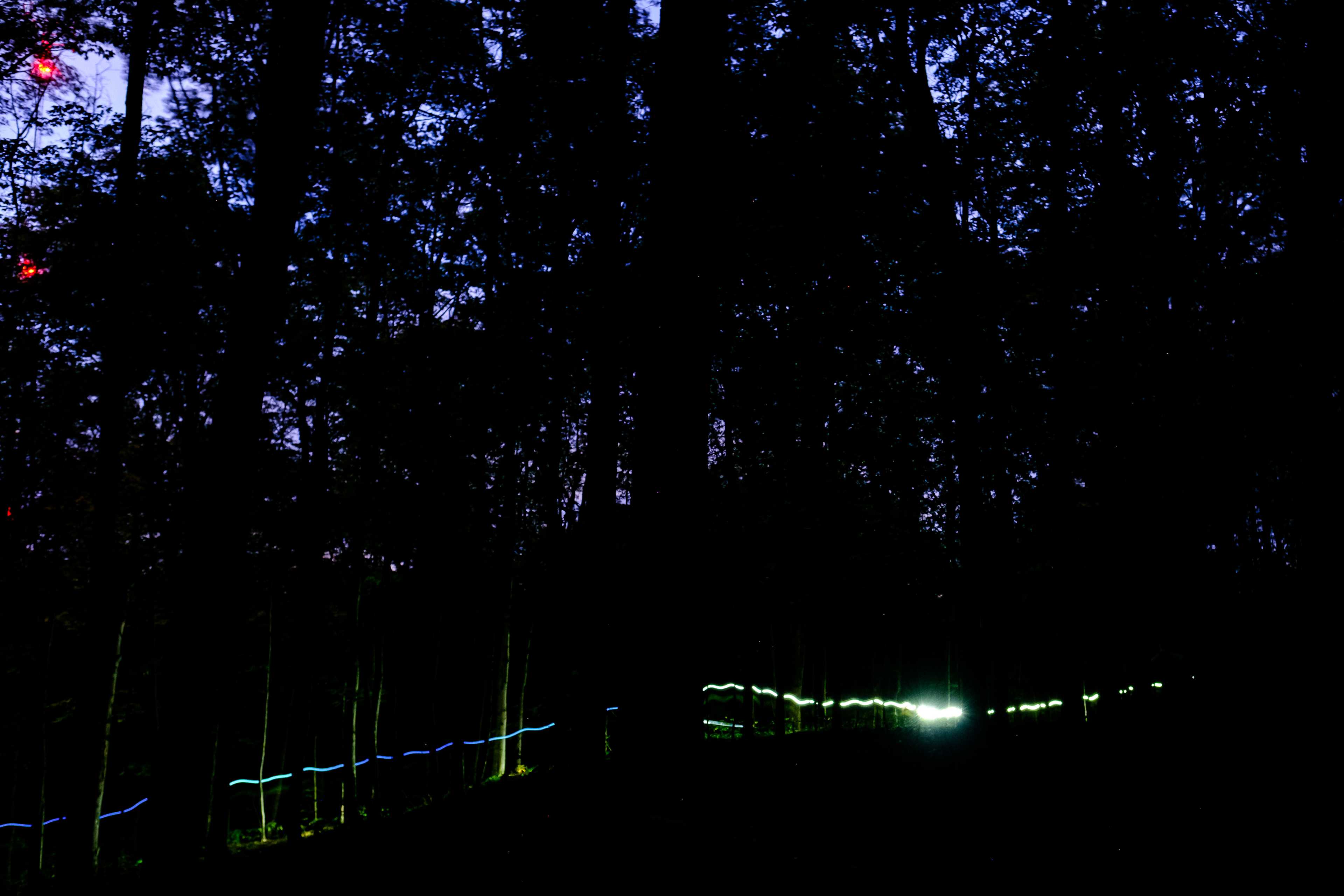 Secondary header image