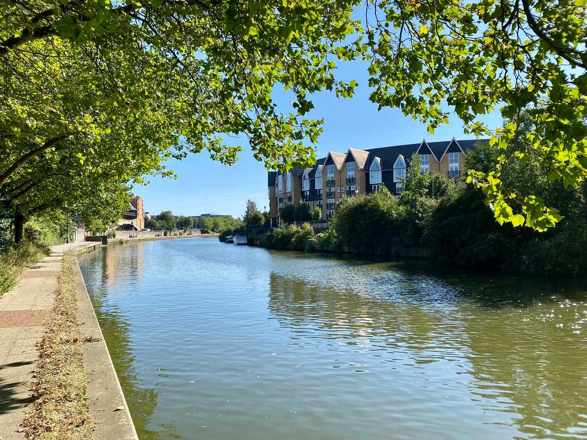 Secondary header image