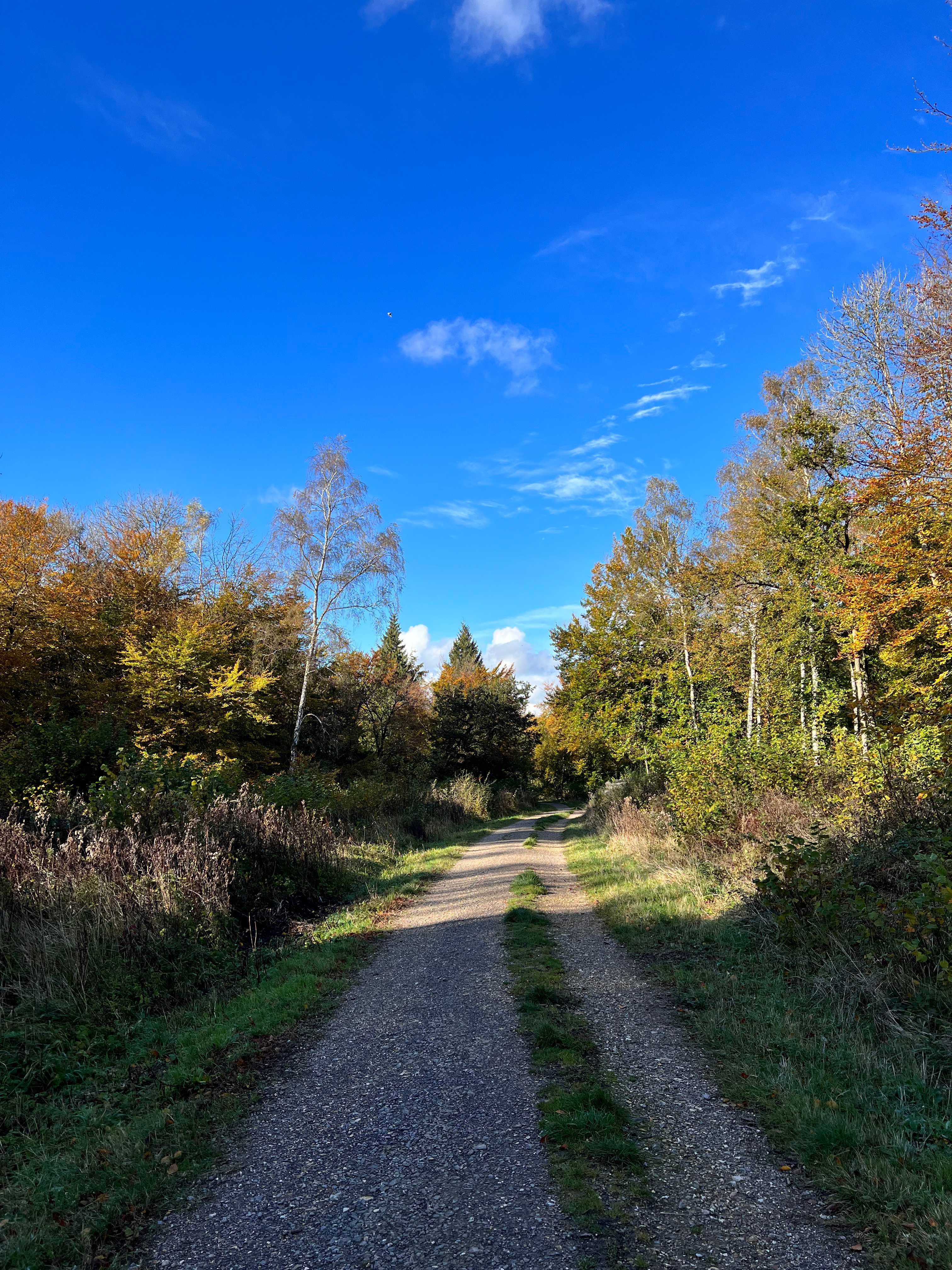 Secondary header image