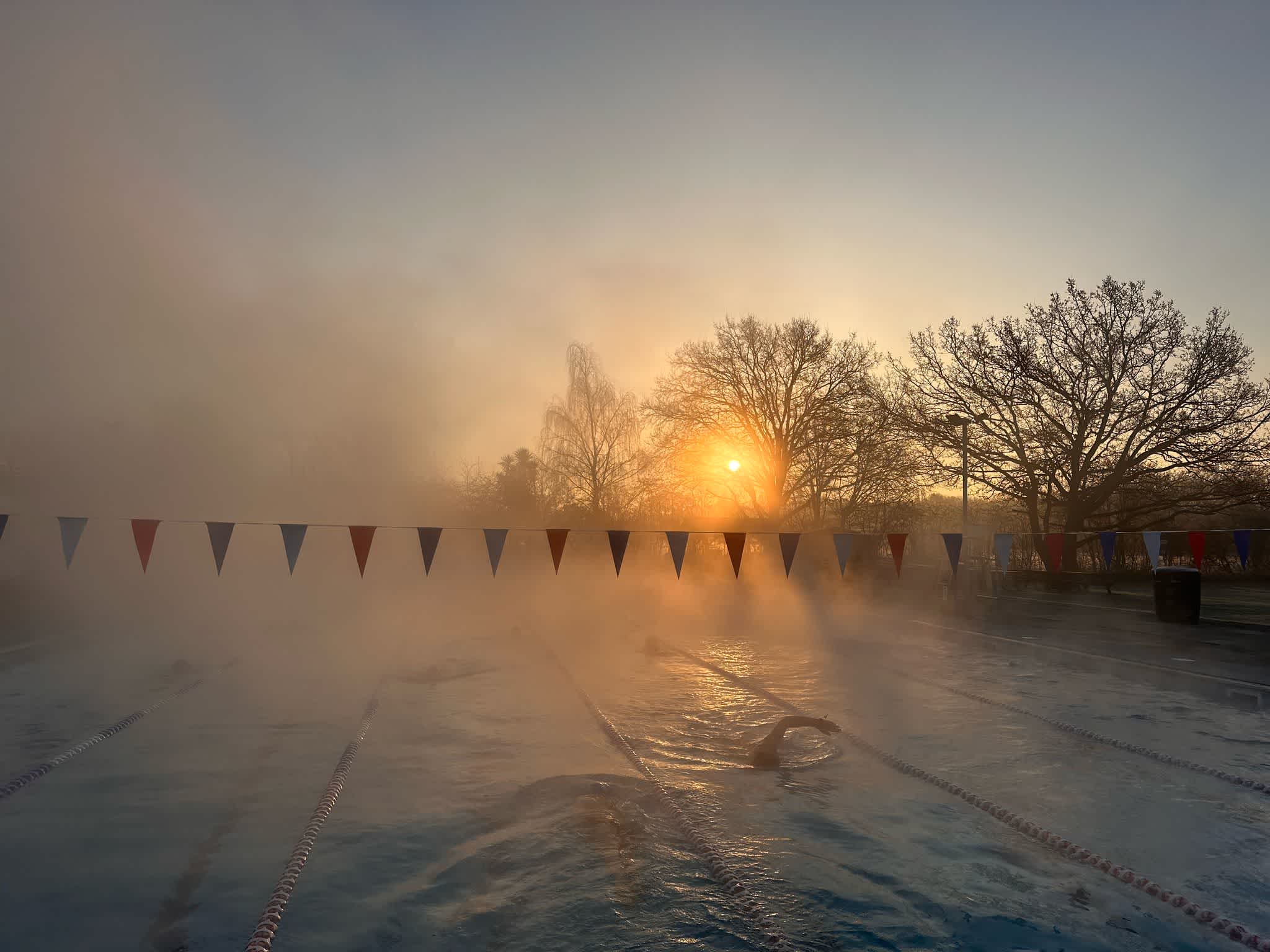 Secondary header image