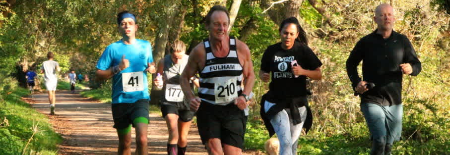 Secondary header image