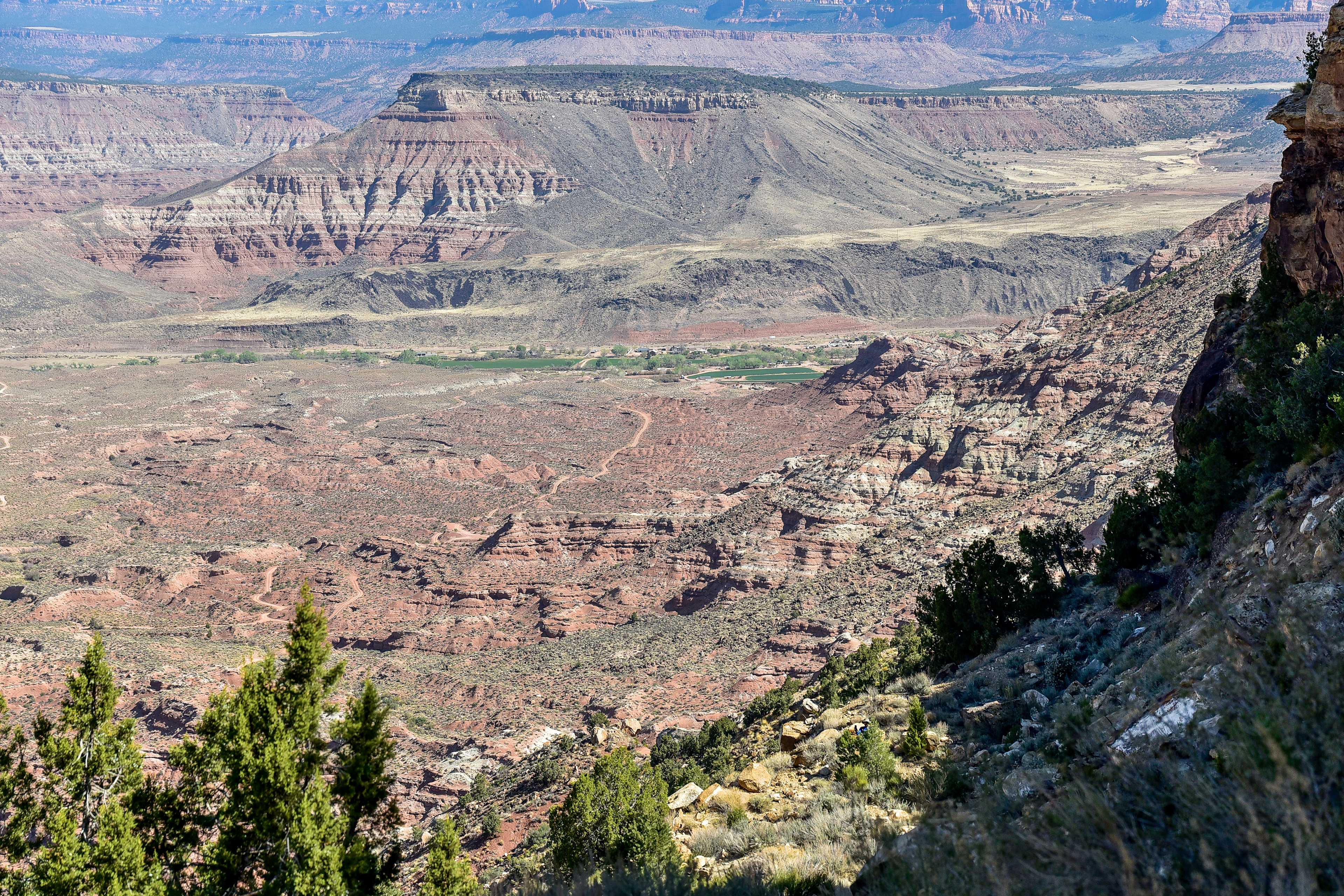 Secondary header image