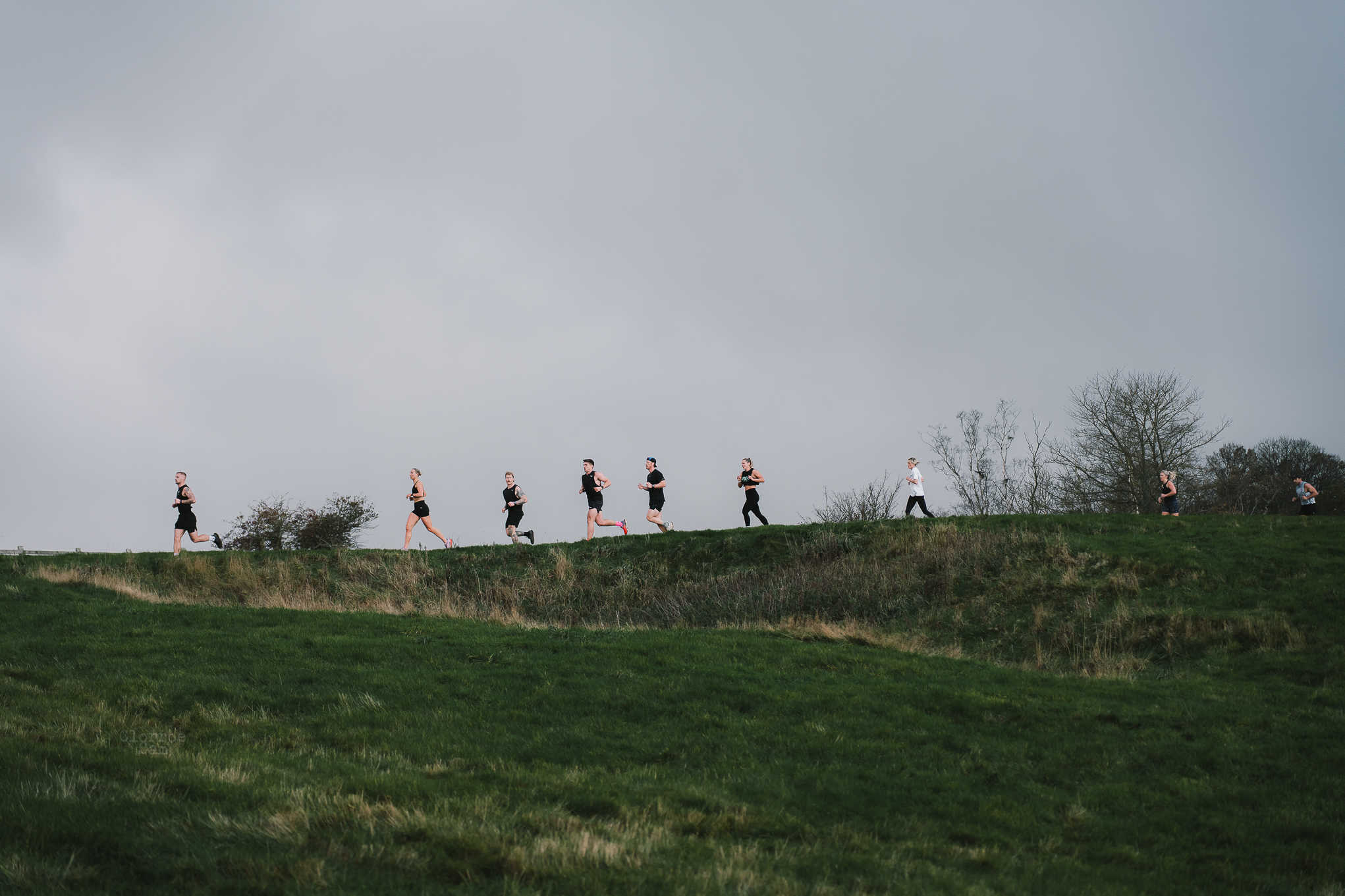 Secondary header image