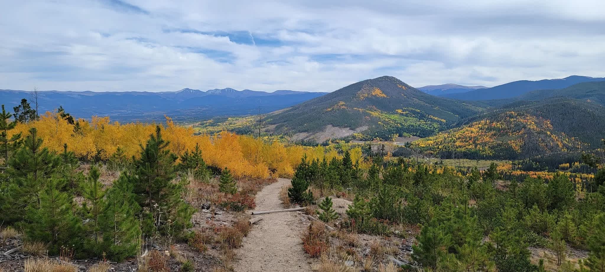 Secondary header image