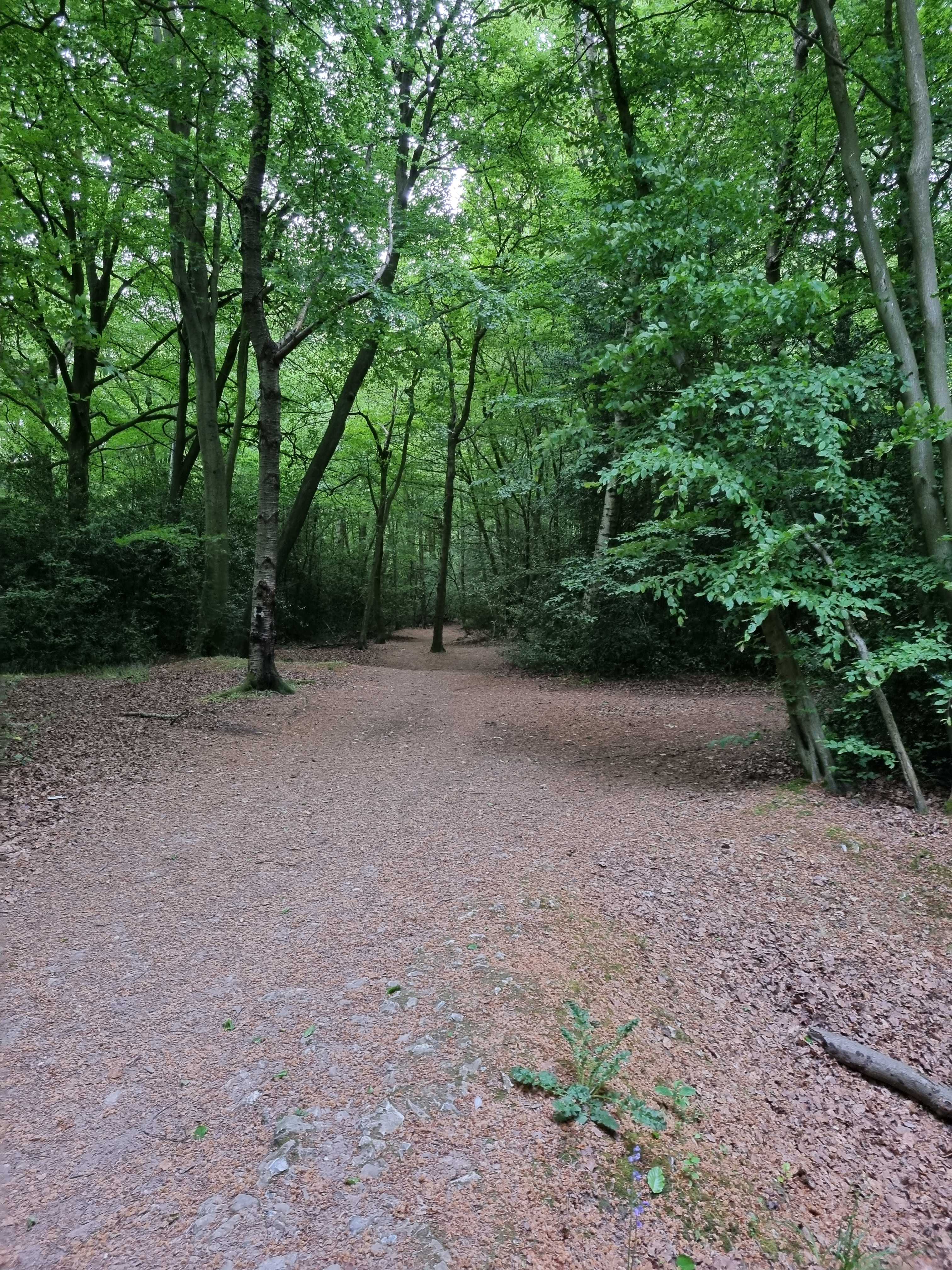 Secondary header image