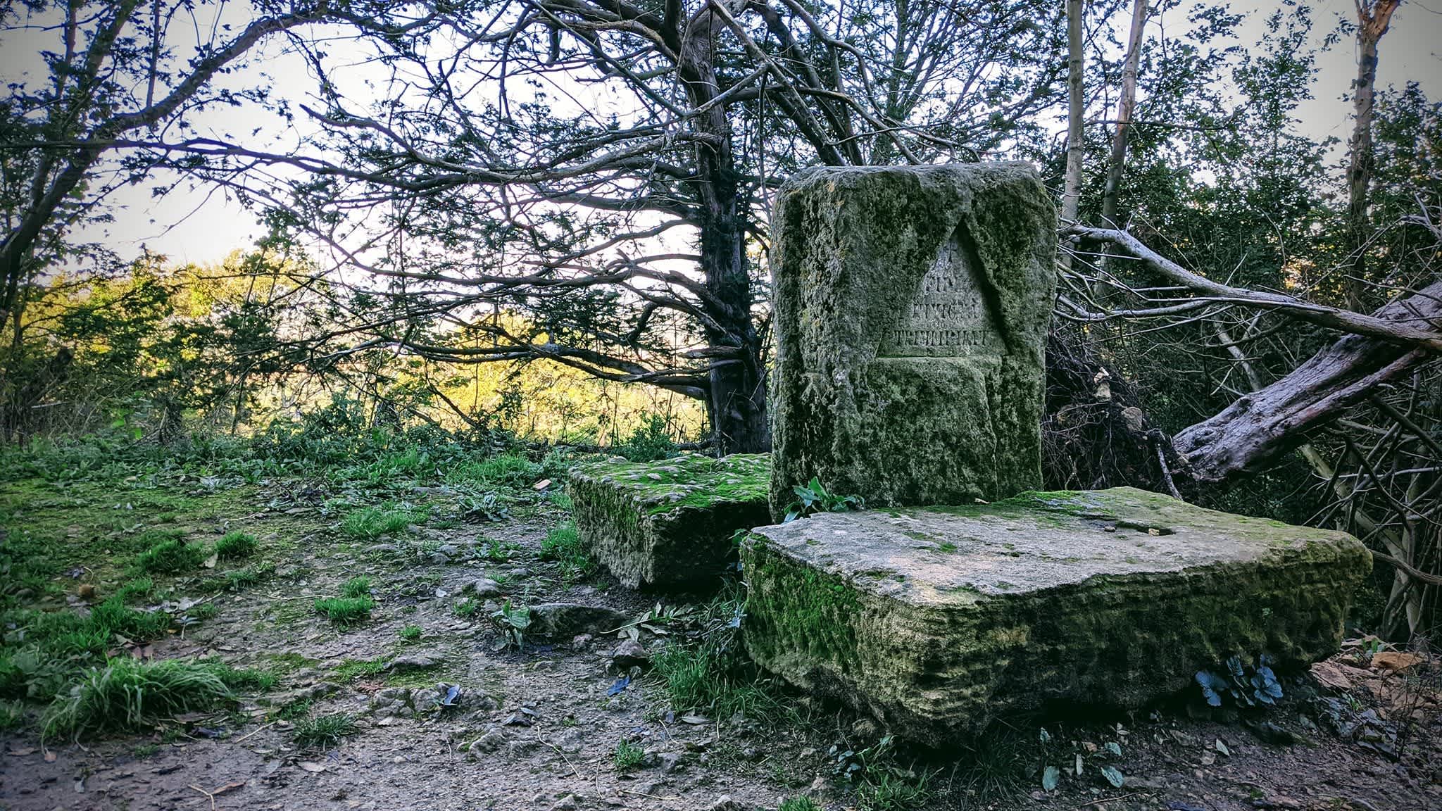 Secondary header image