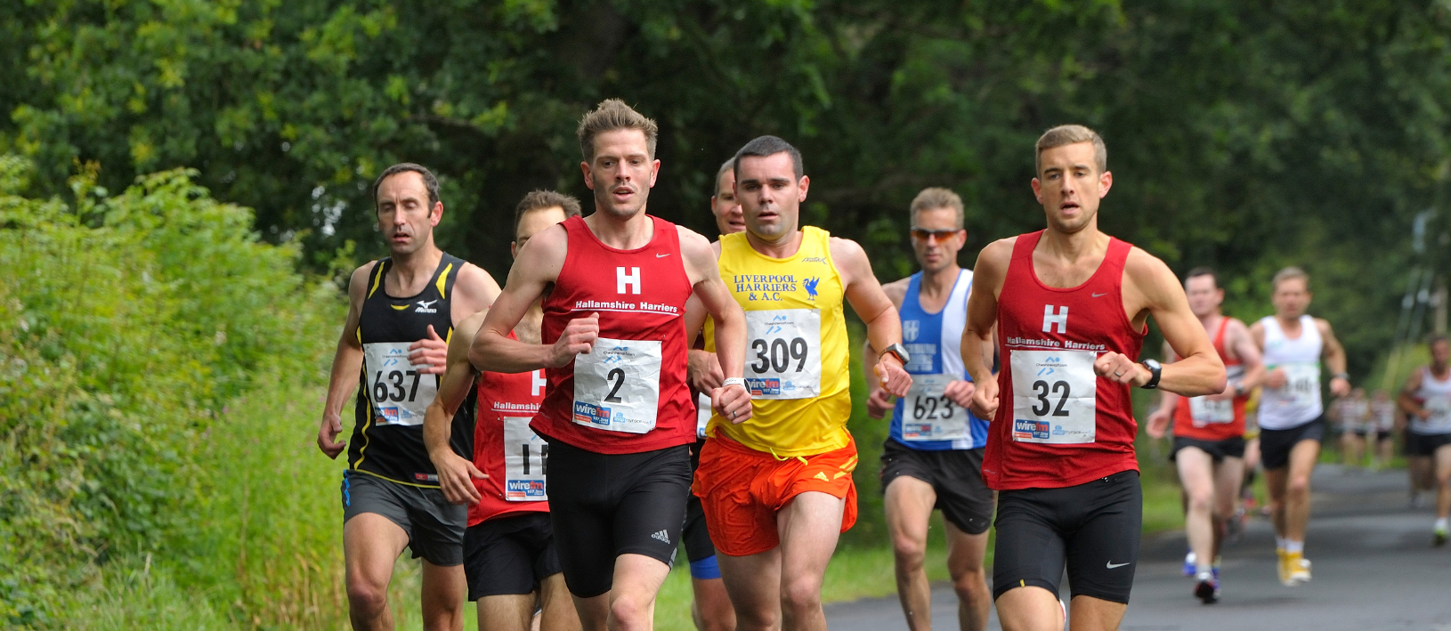 Secondary header image