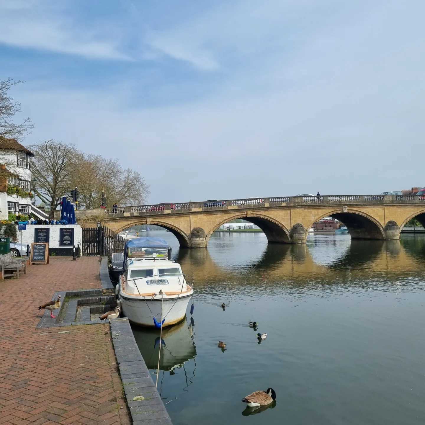 Secondary header image