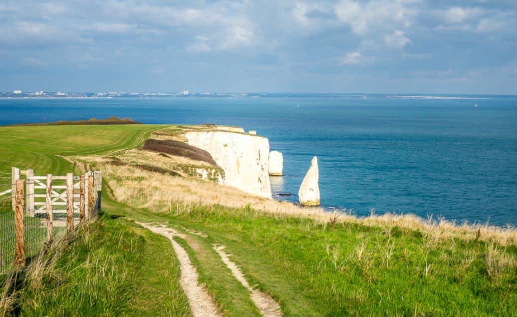 Secondary header image