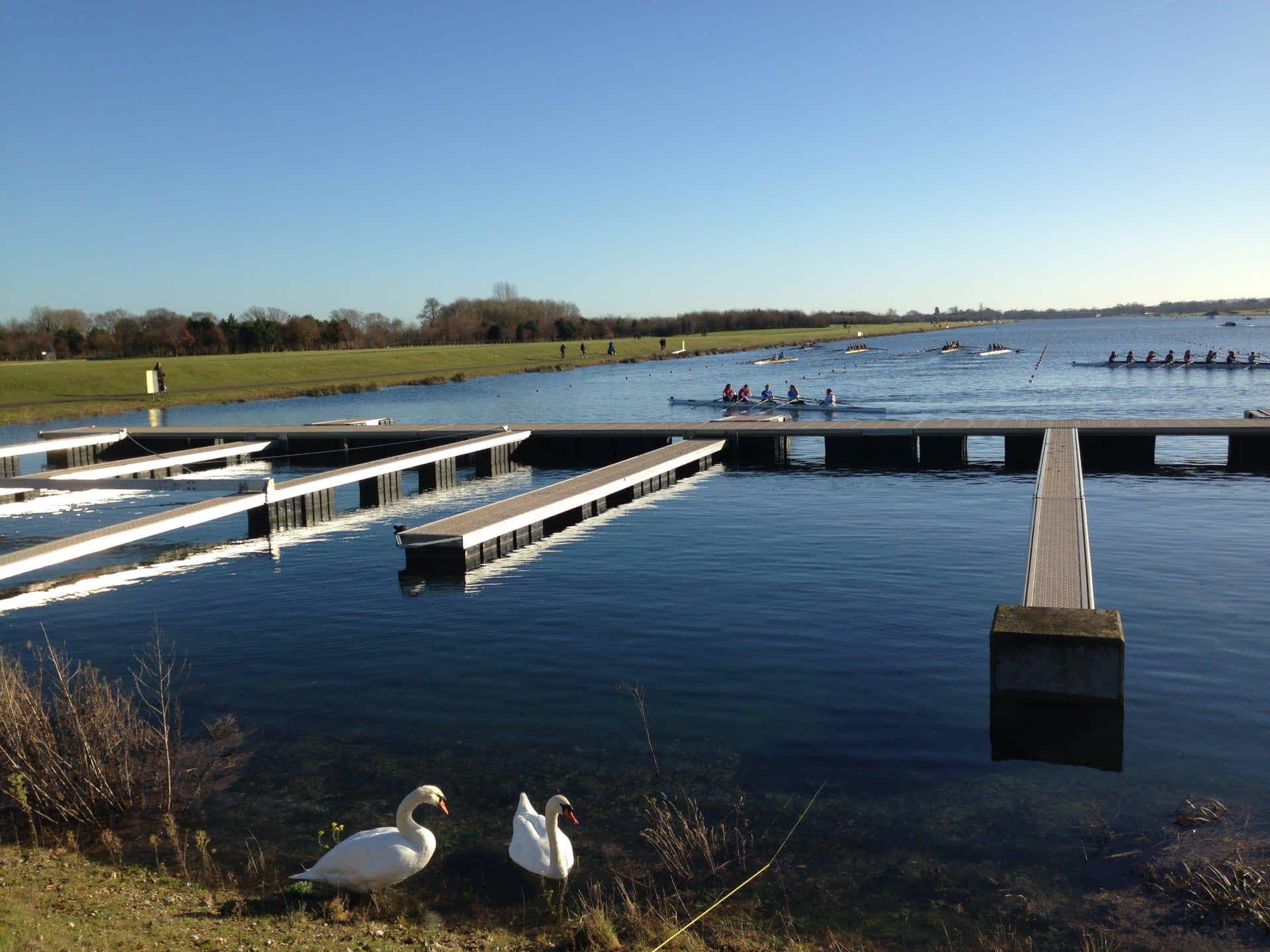 Secondary header image