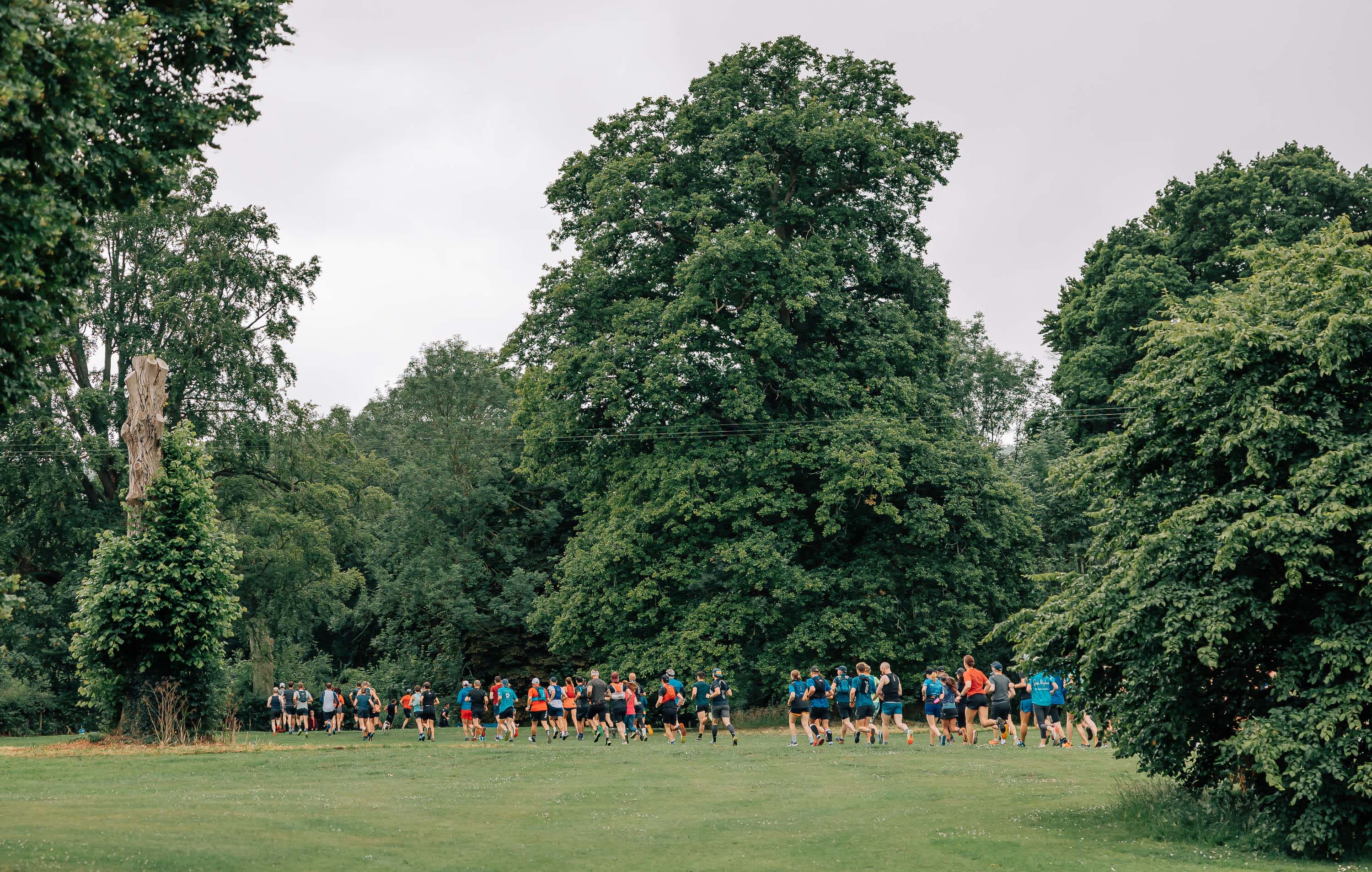 Secondary header image