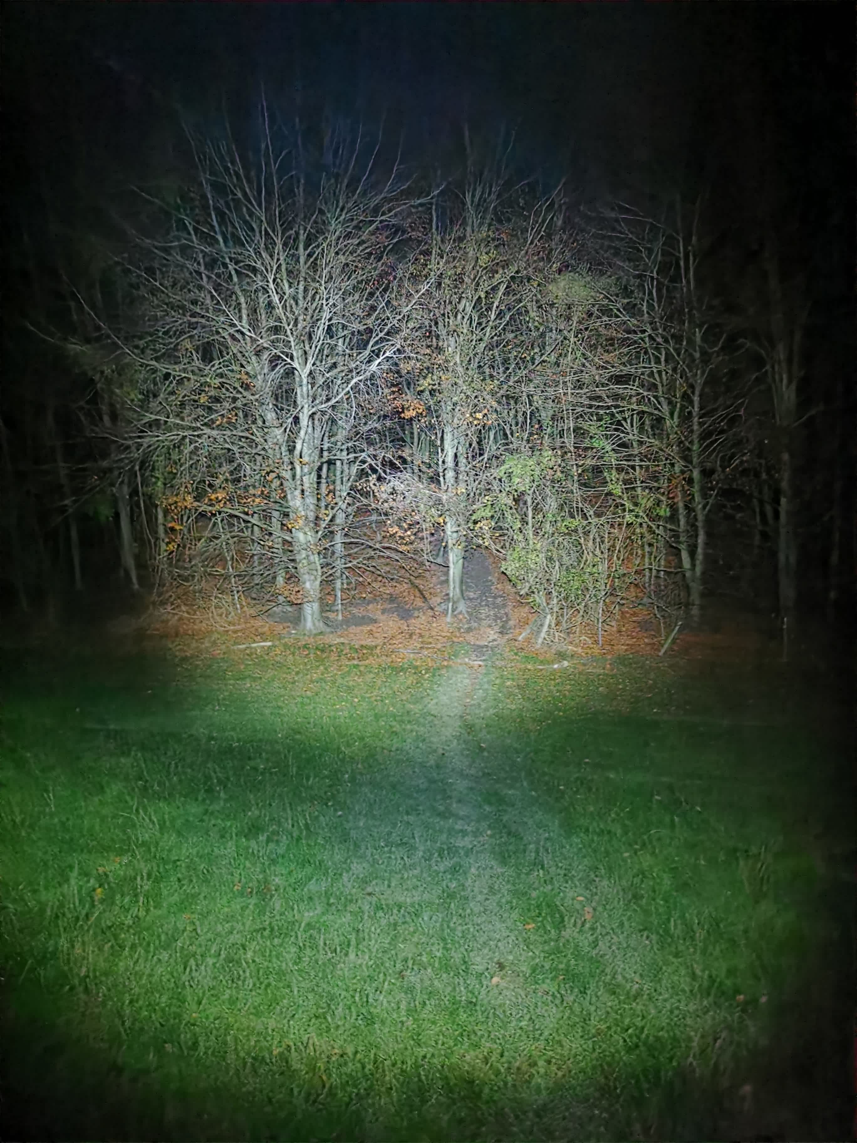 Secondary header image