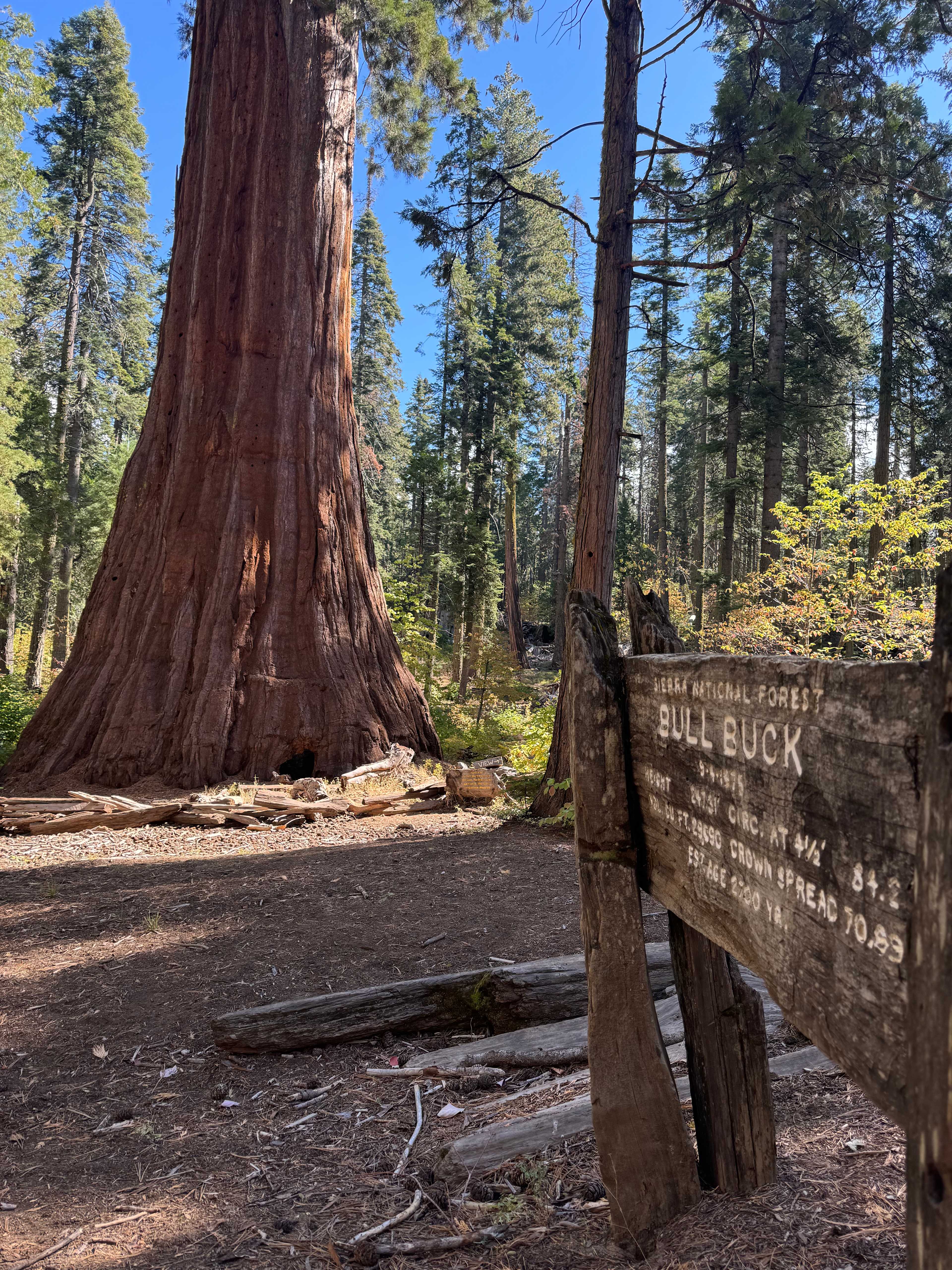 Secondary header image