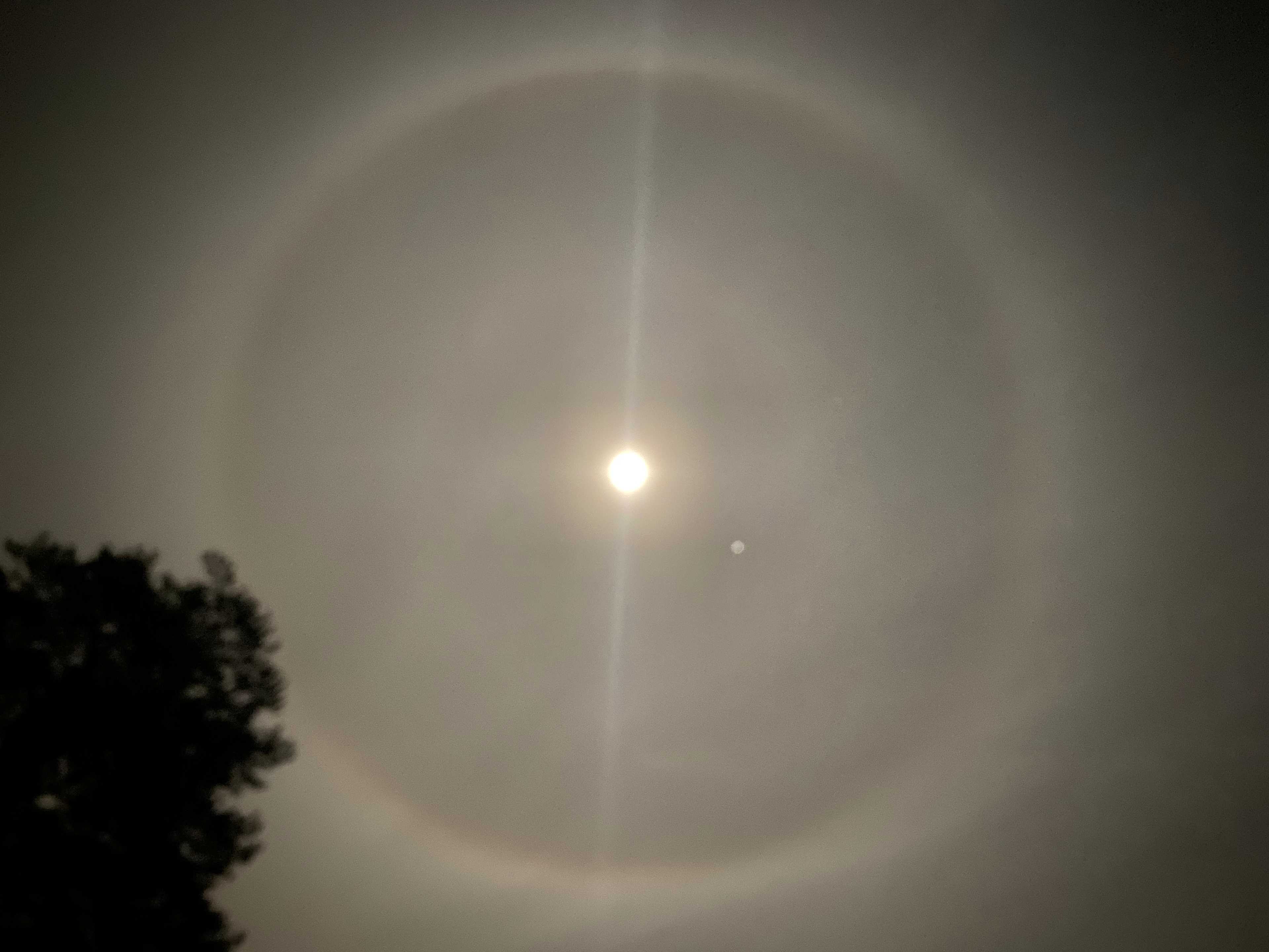 Secondary header image