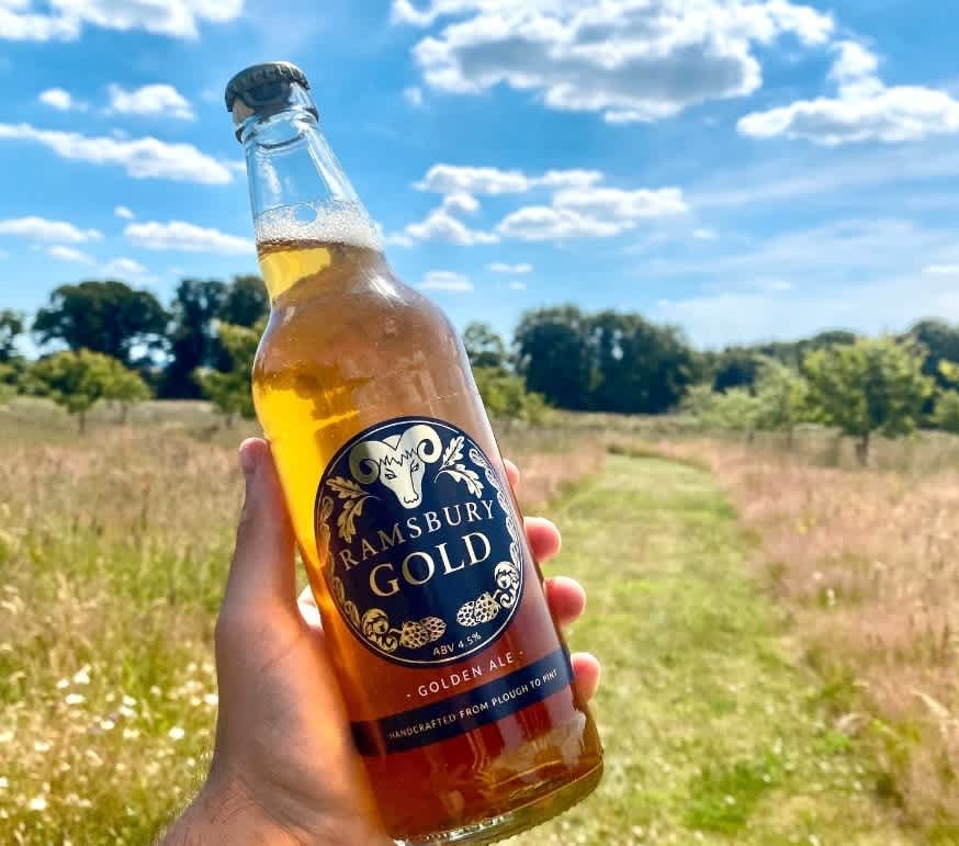 Secondary header image