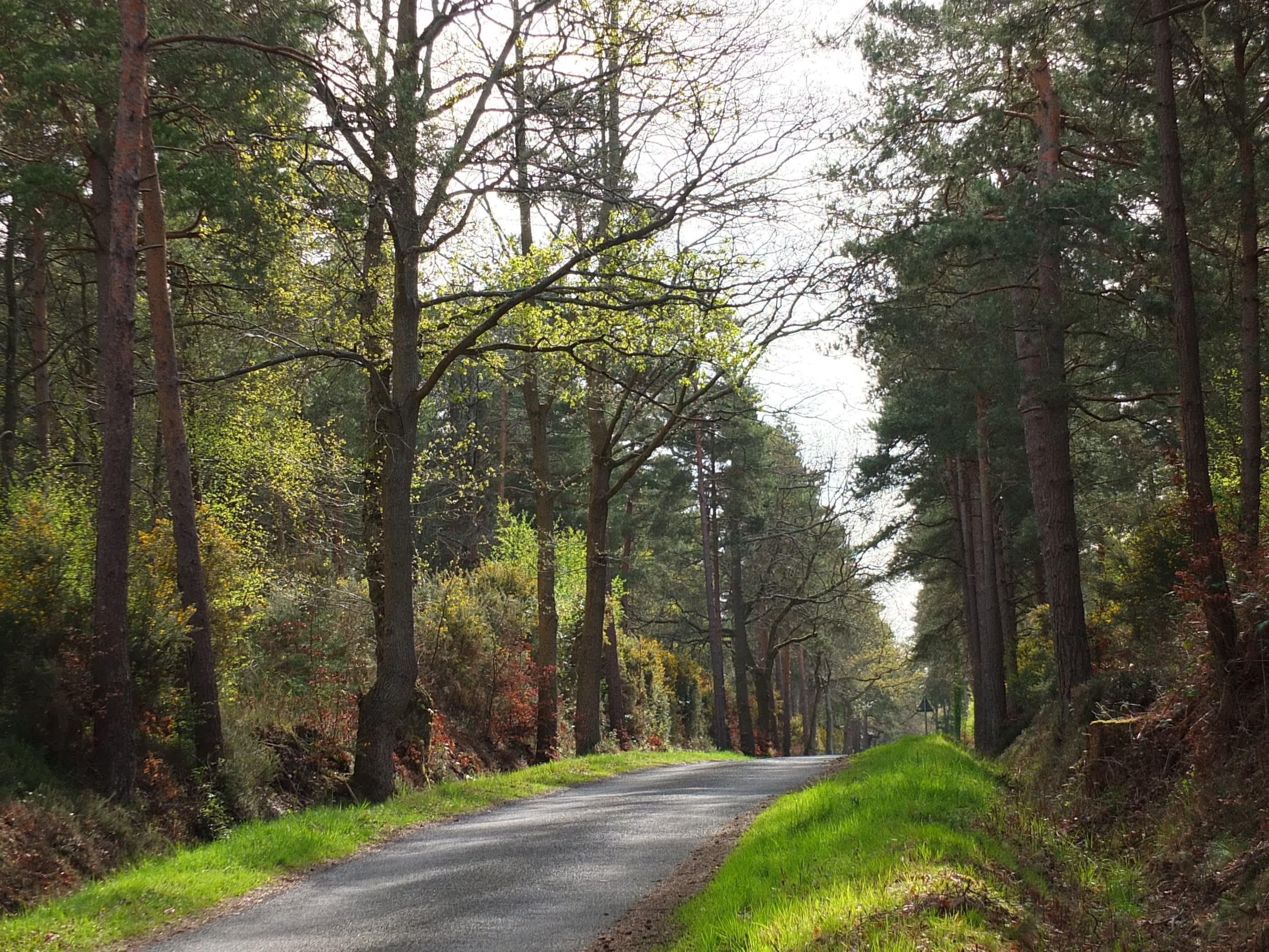 Secondary header image