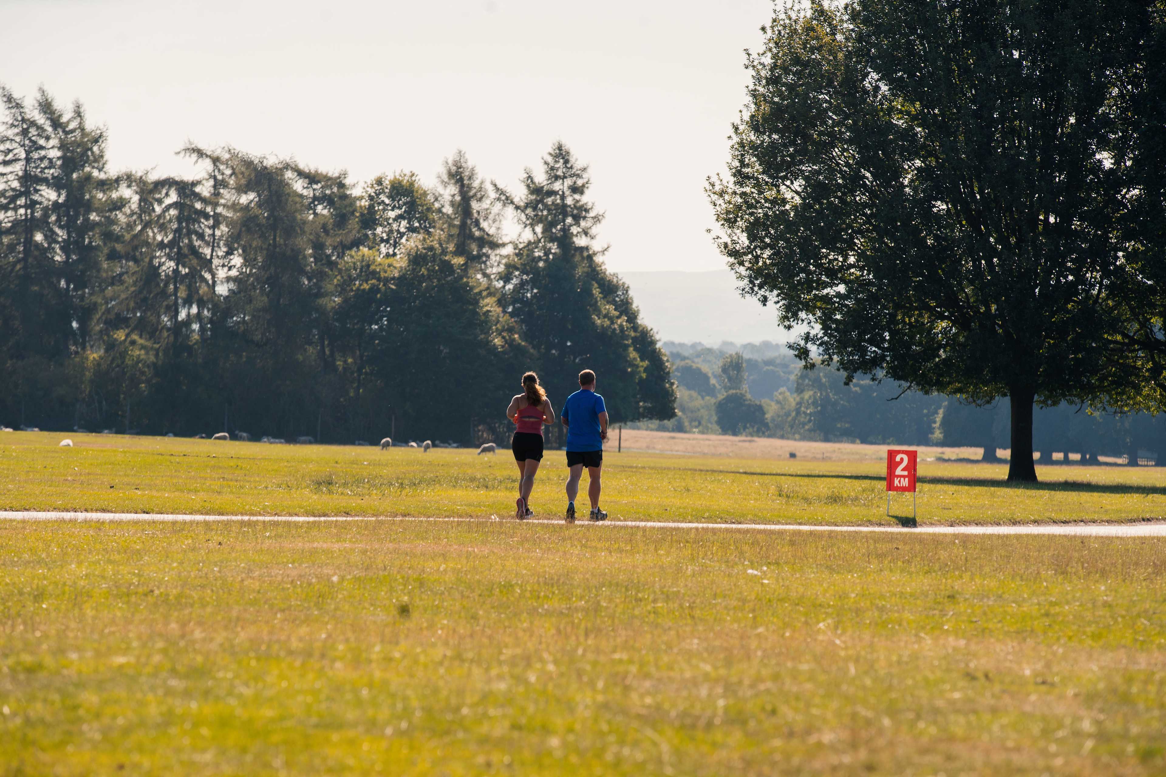 Secondary header image