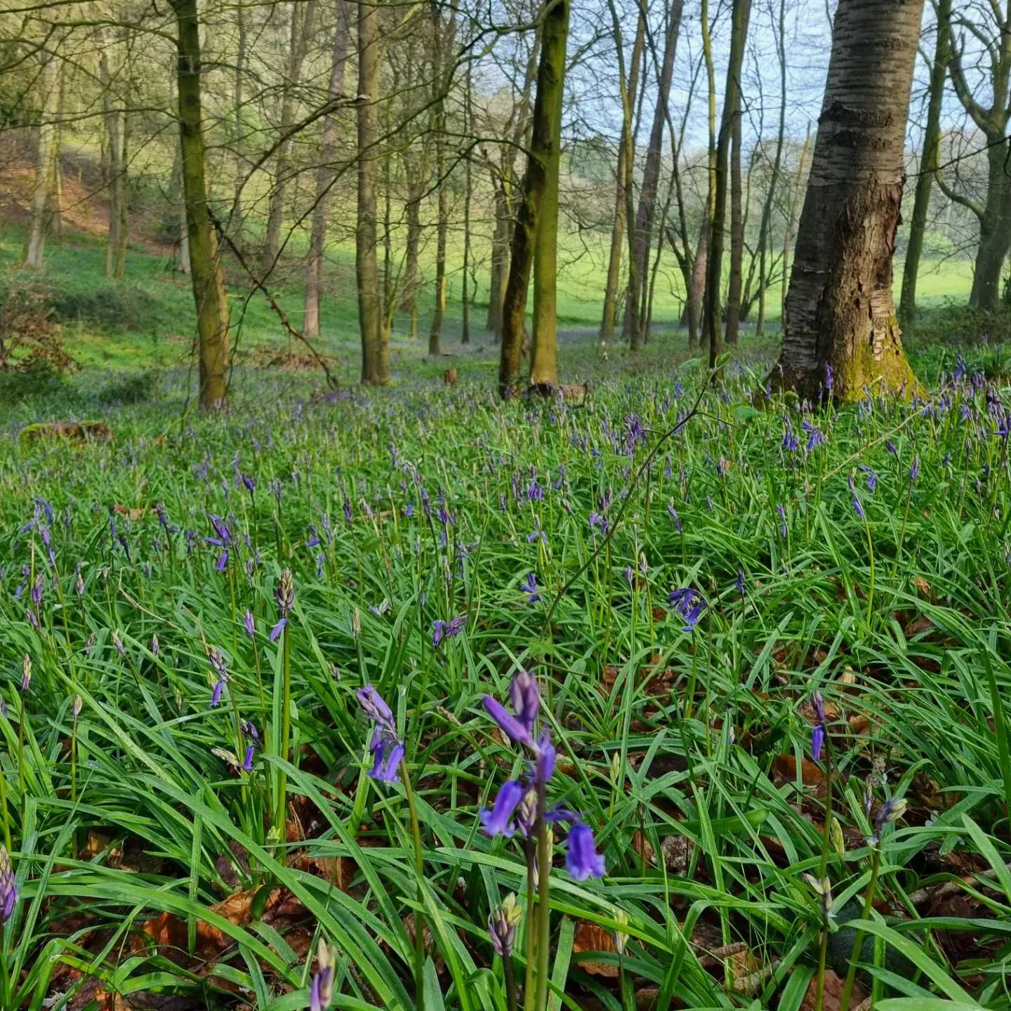 Secondary header image