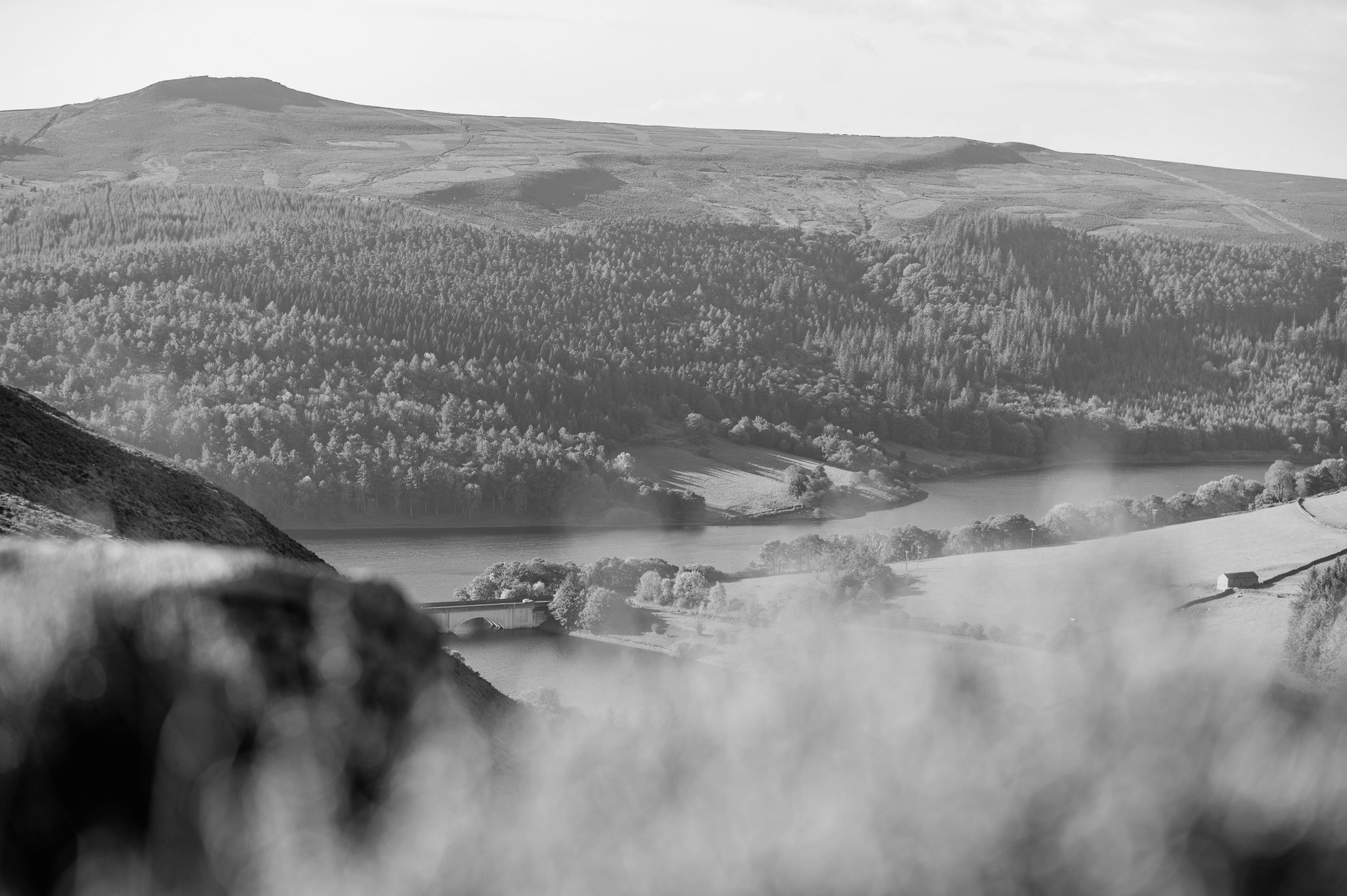 Secondary header image