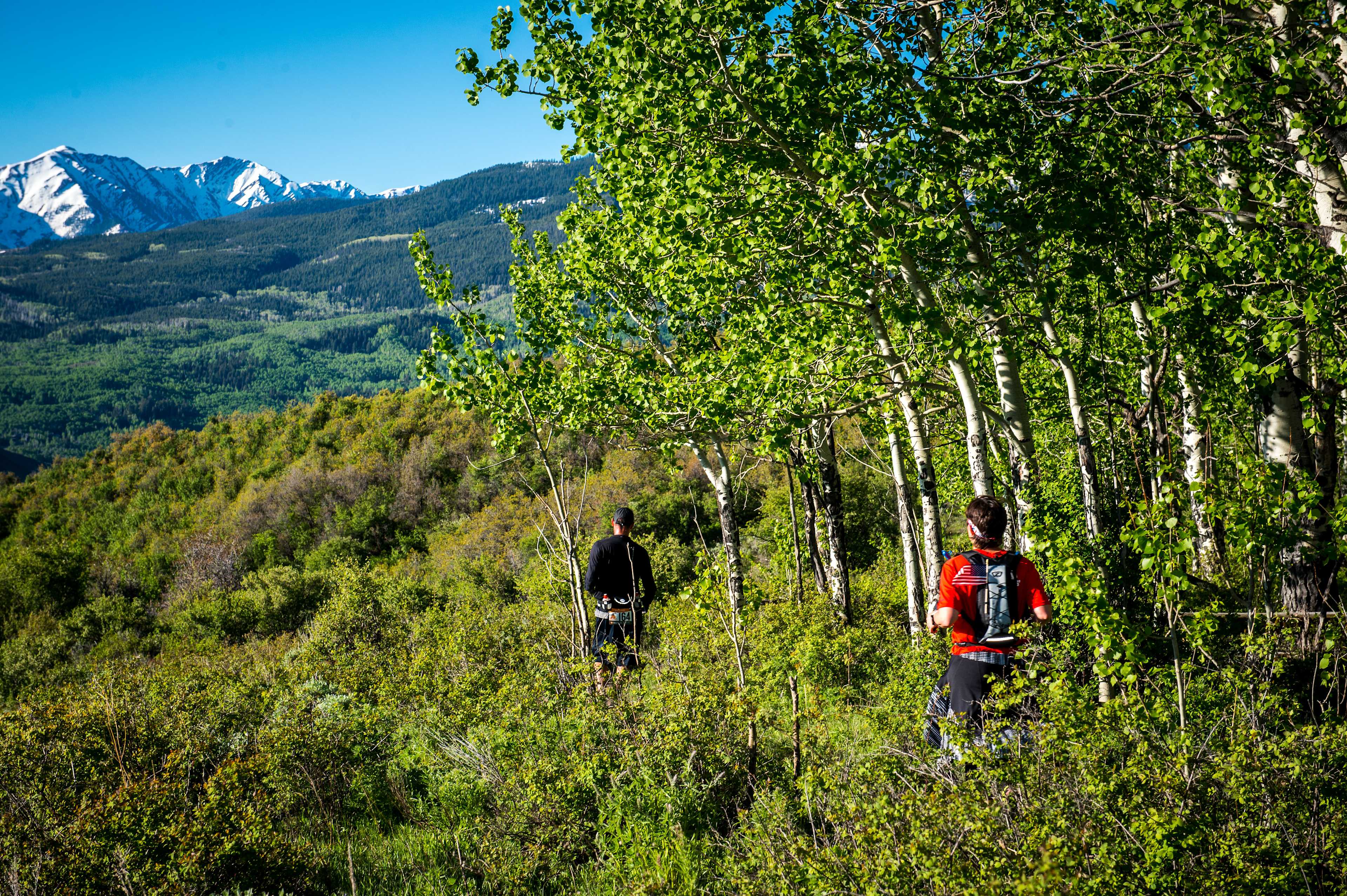 Secondary header image