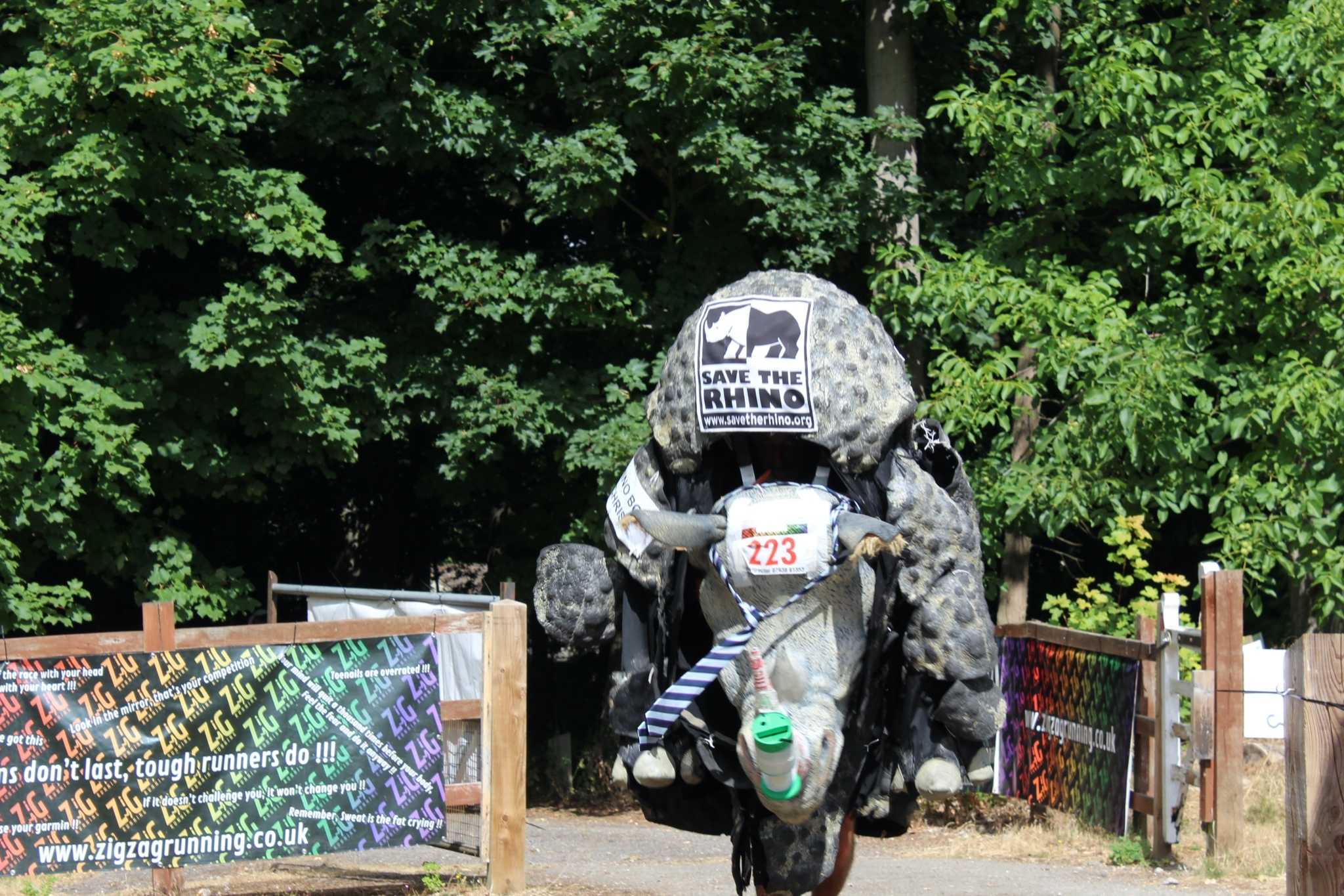 Secondary header image