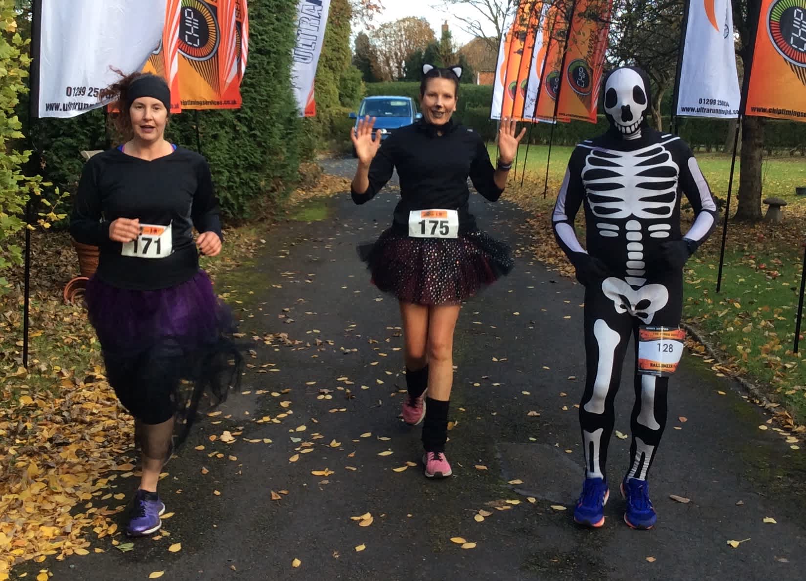 Secondary header image