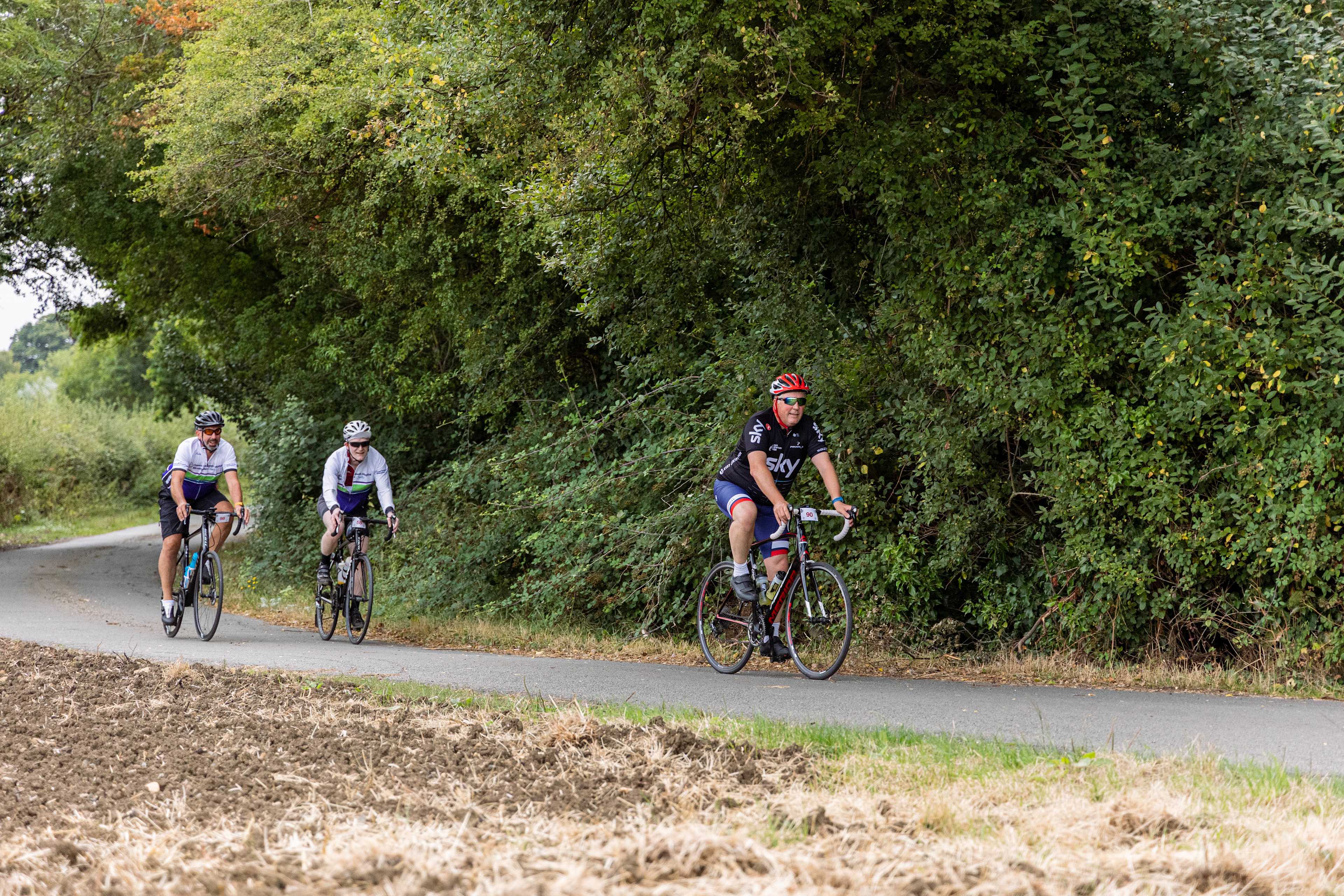 Secondary header image