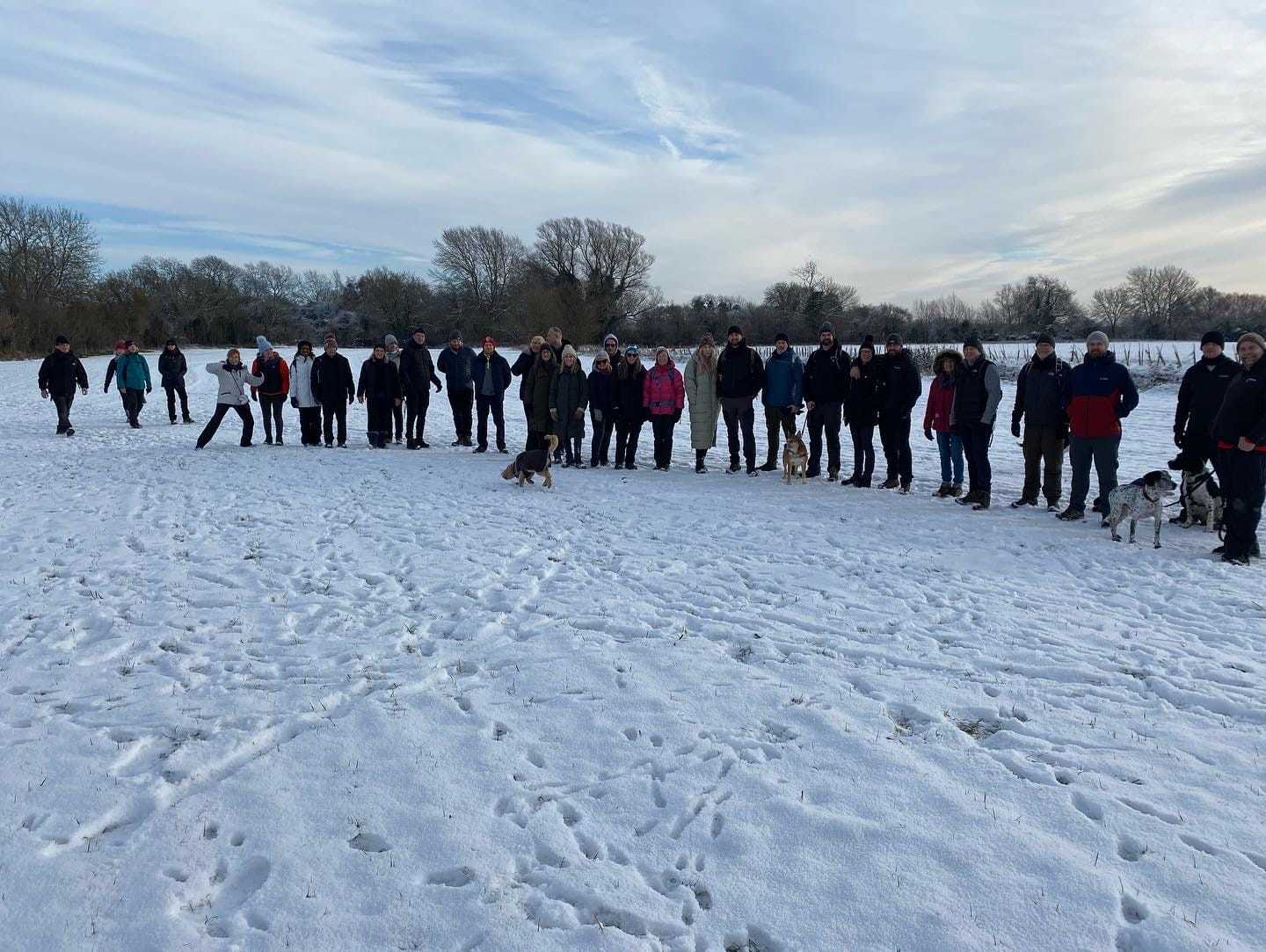 Secondary header image