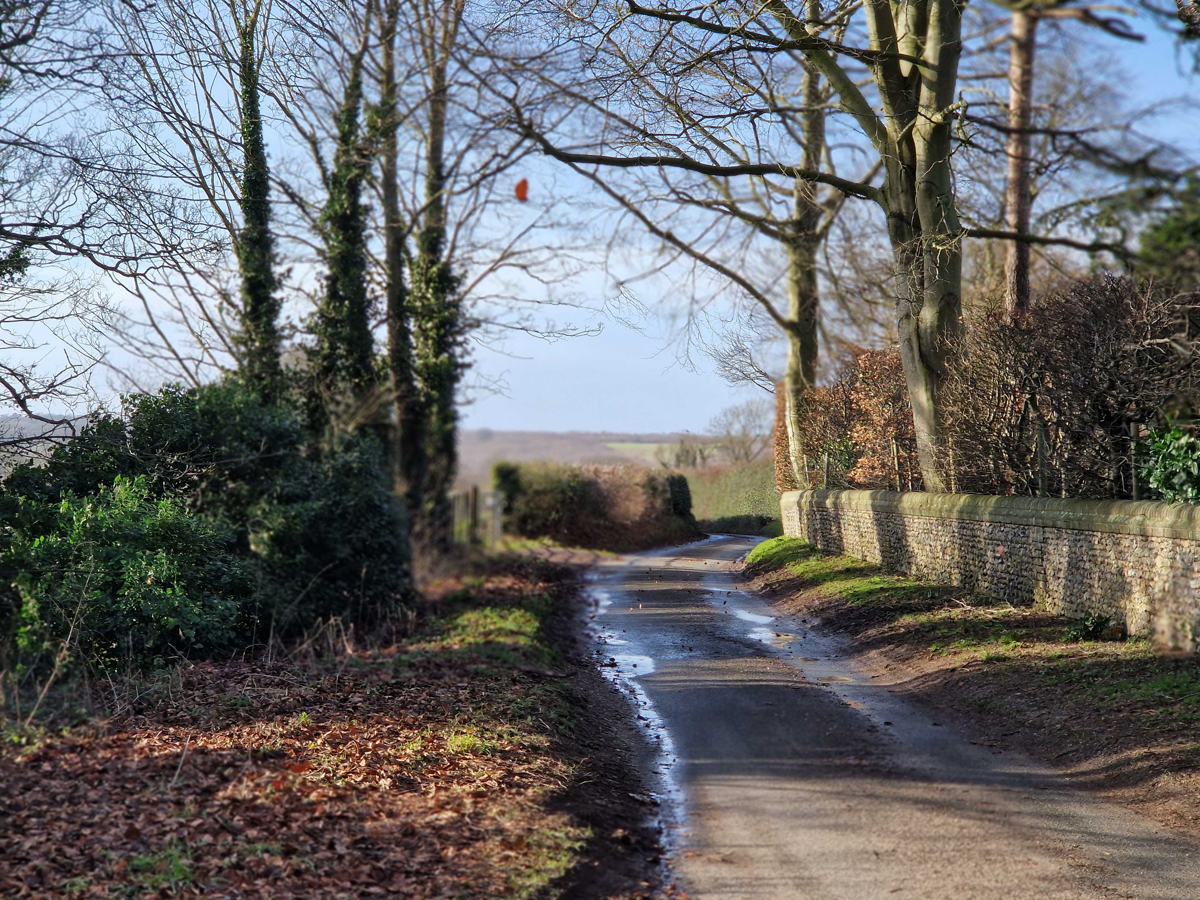 Secondary header image