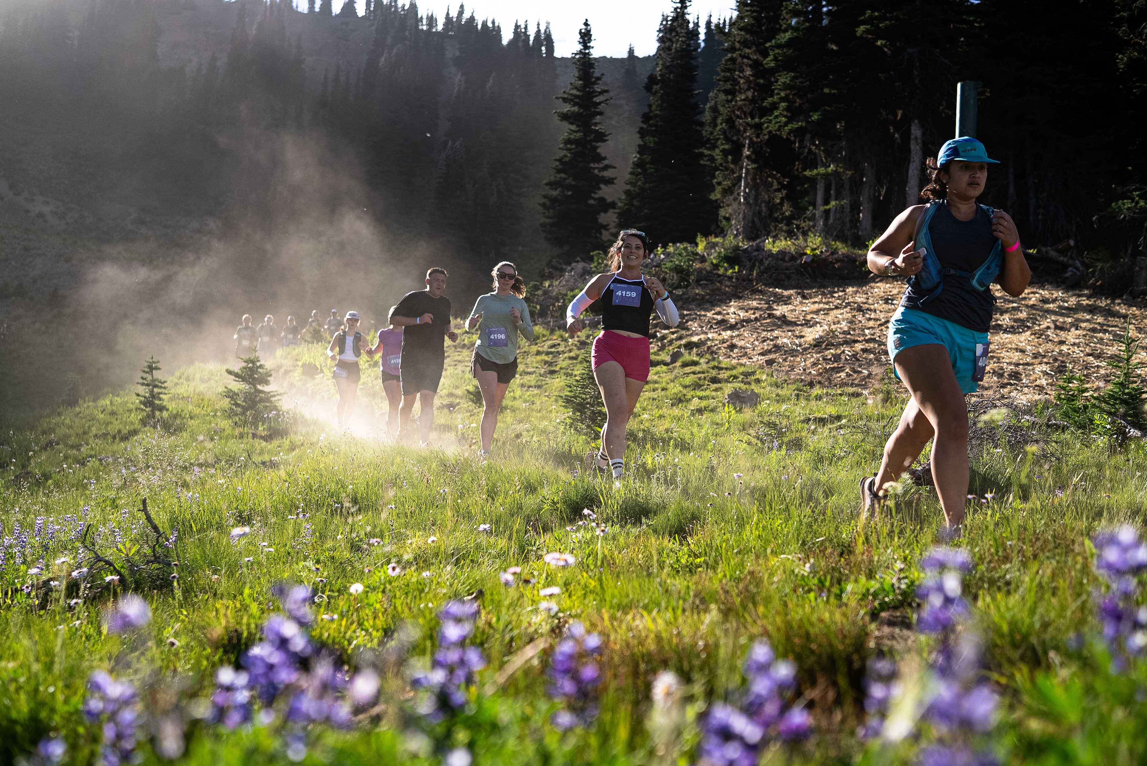 Secondary header image