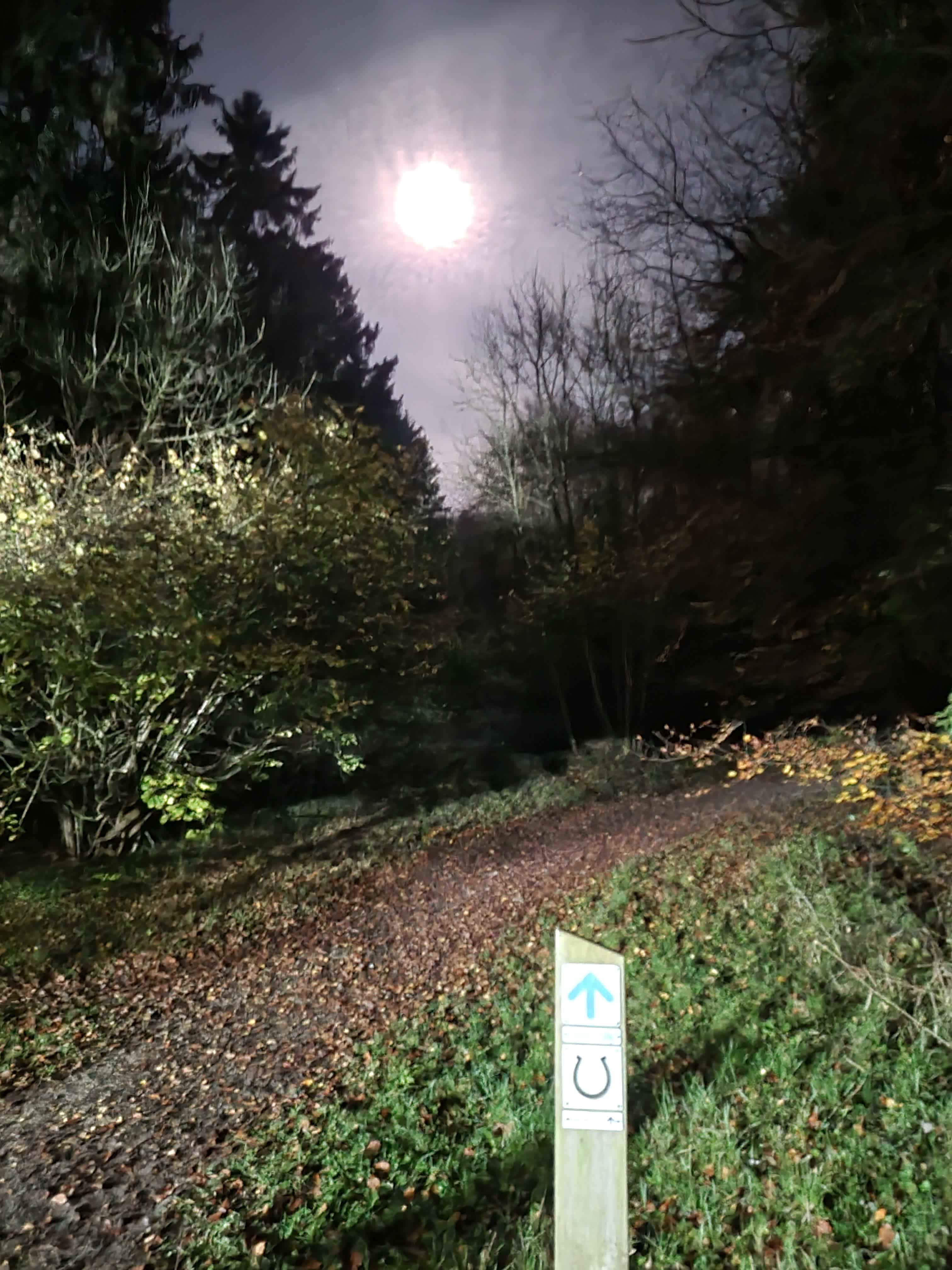 Secondary header image