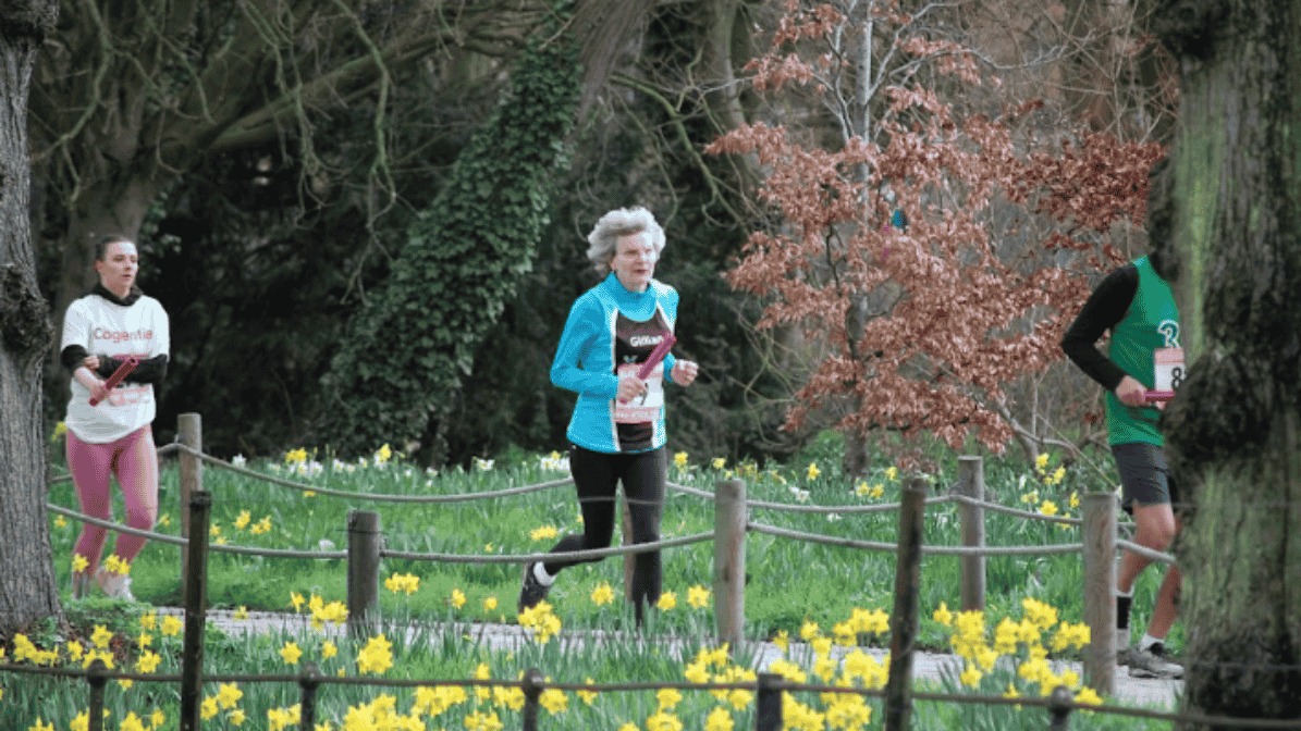 Secondary header image