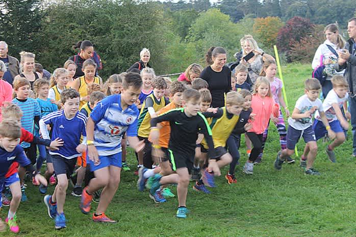 Secondary header image