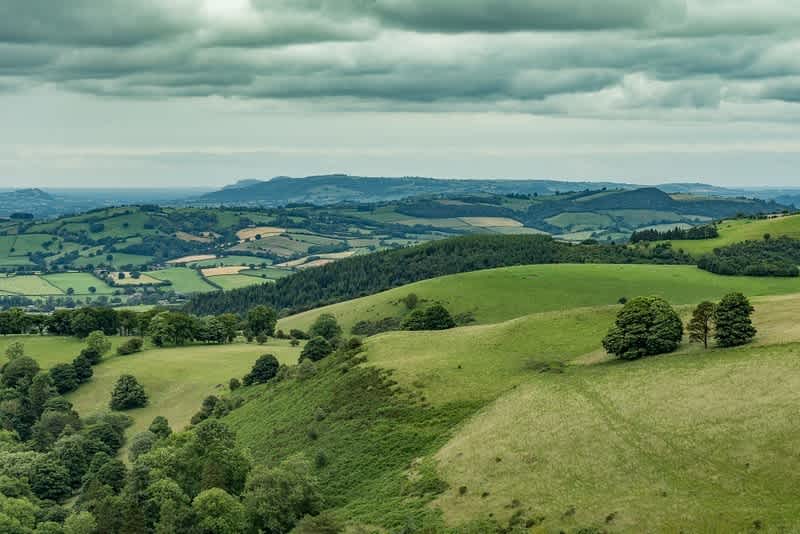 Secondary header image